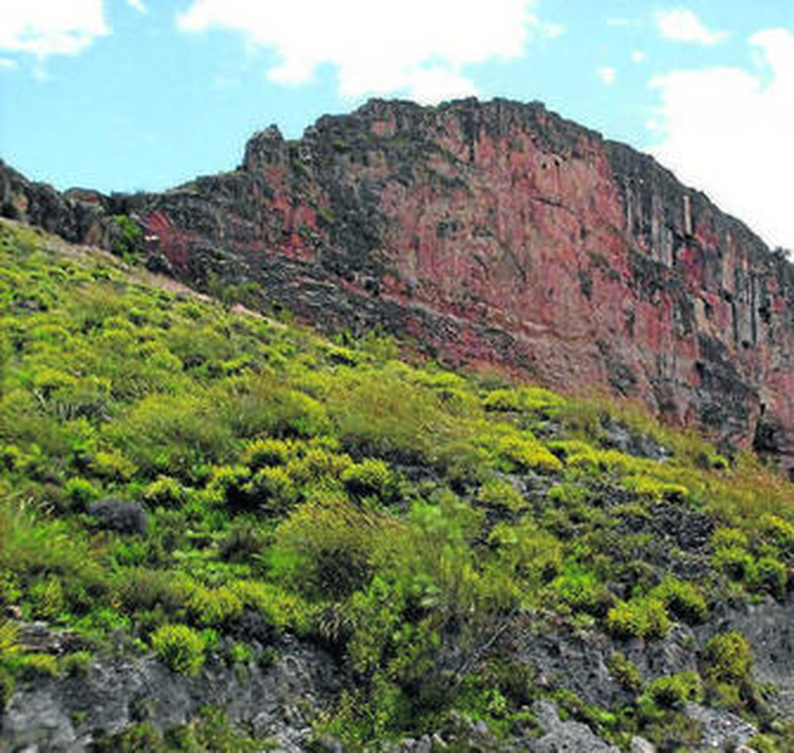 La Piedra 'Ver de Olula', símbolo de la localidad.