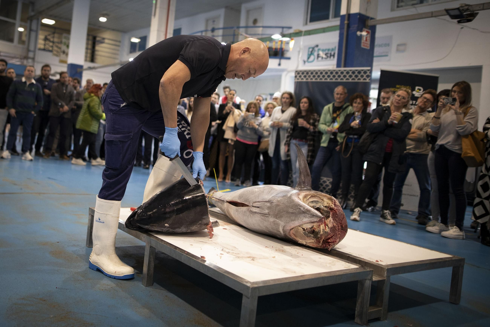 Venir, ver y comprar: las imágenes del ronqueo del atún en Granada