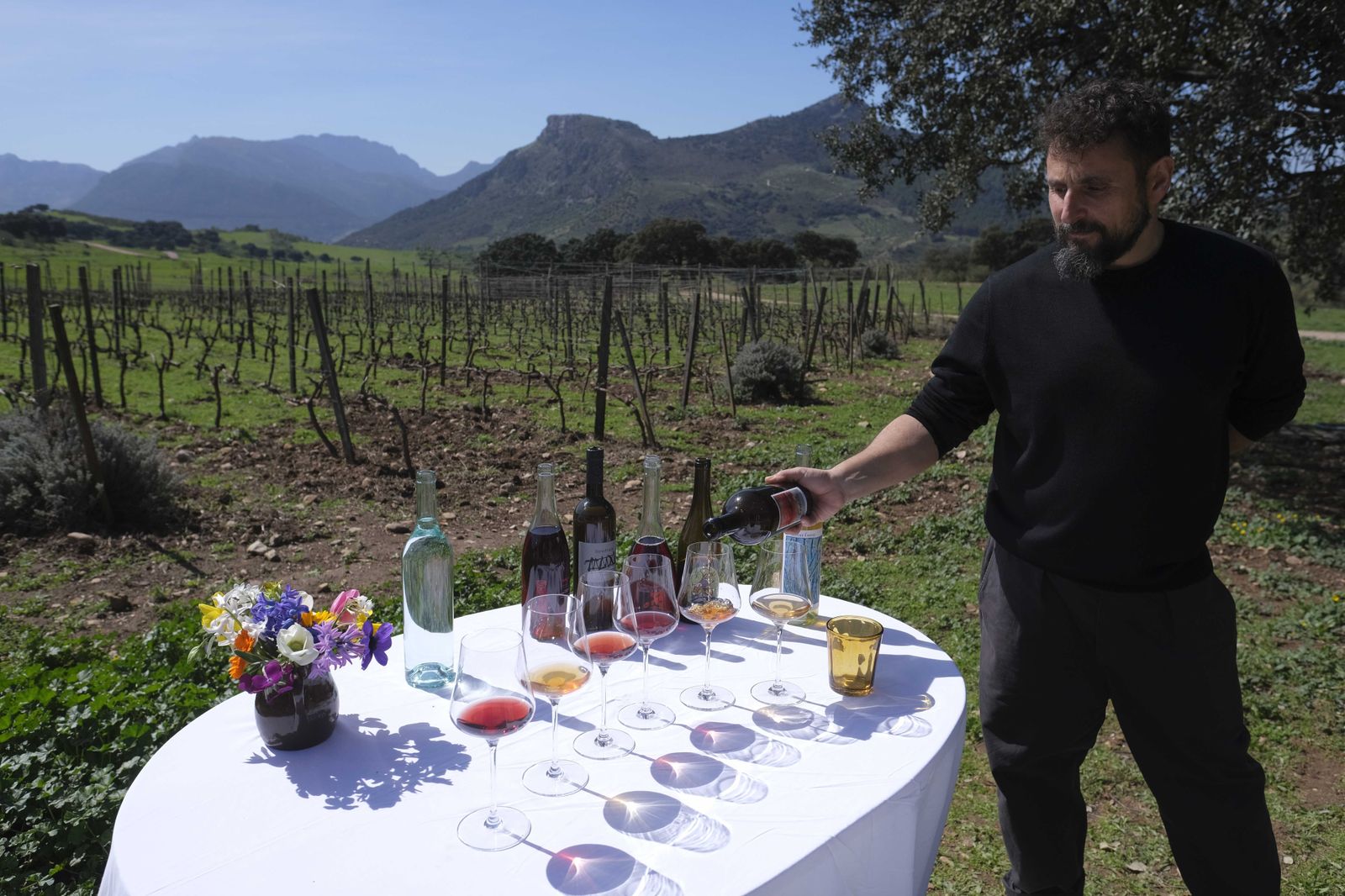 La Donaira, en fotos