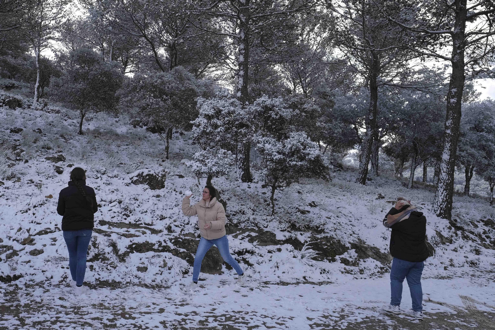Nevada en la Serranía de Ronda, en fotos.