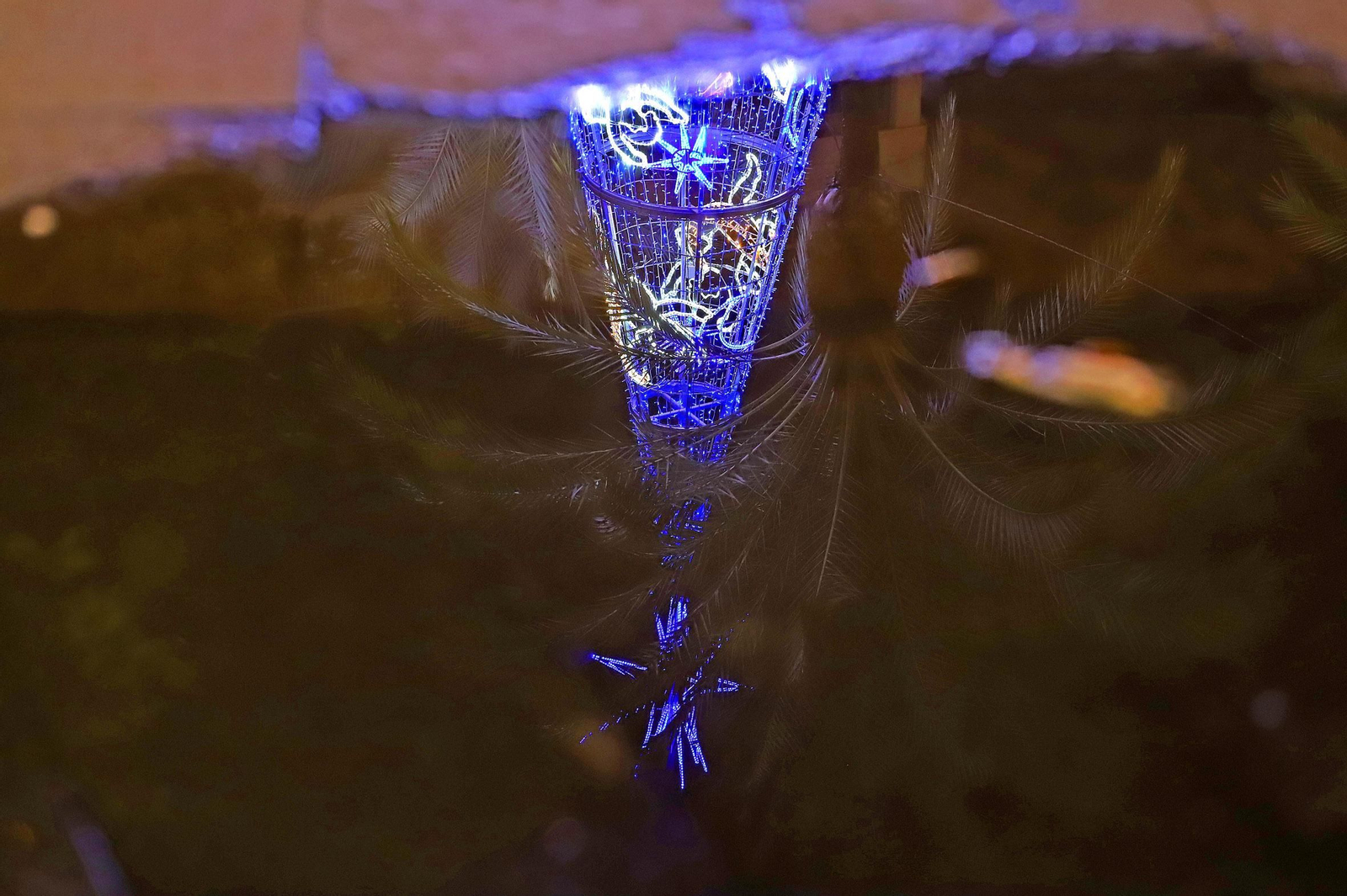 Encendido del alumbrado de Navidad 2020 en Jerez