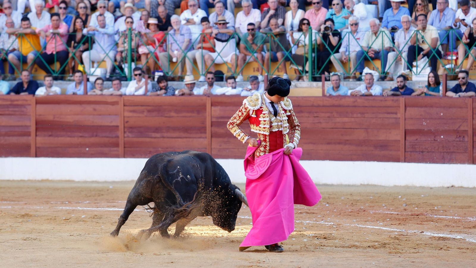 Toros en la plaza de toros de La Línea, 2024. Toros en la plaza de toros de La Línea, 2024.