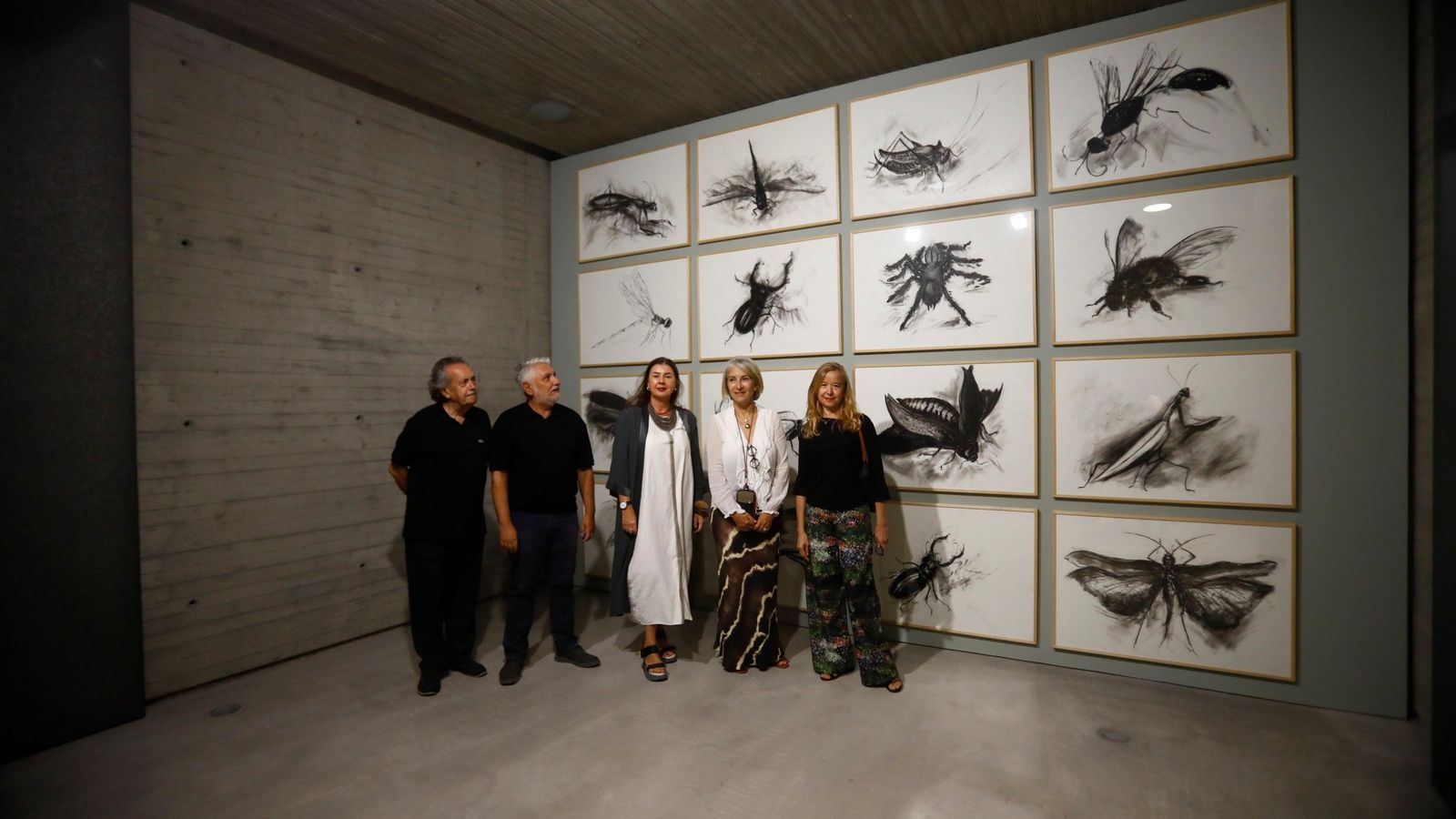 Proyecto de 'Naturaleza perturbada', de M. Ángeles Díaz Barbado.