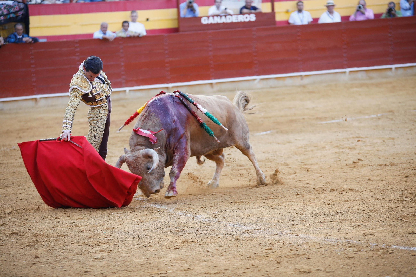 Imágenes de la corrida de toros en Roquetas de Mar