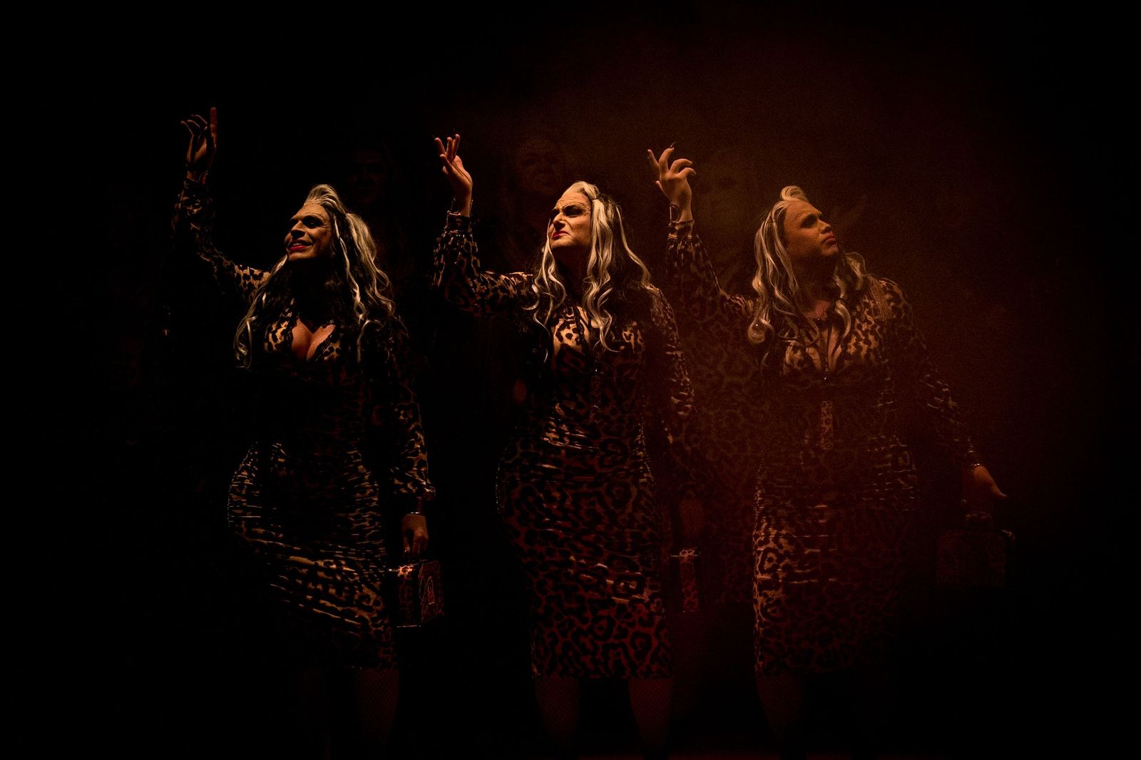 Búscate en las mejores imágenes de la sexta sesión de preliminares del COAC 2026