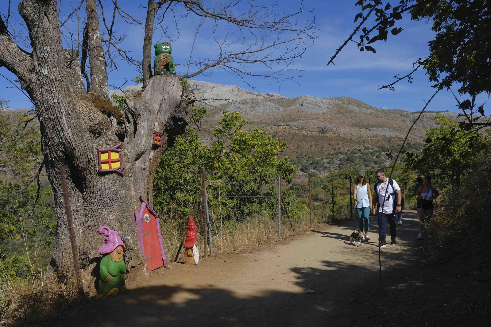 El Bosque Encantado, en fotos