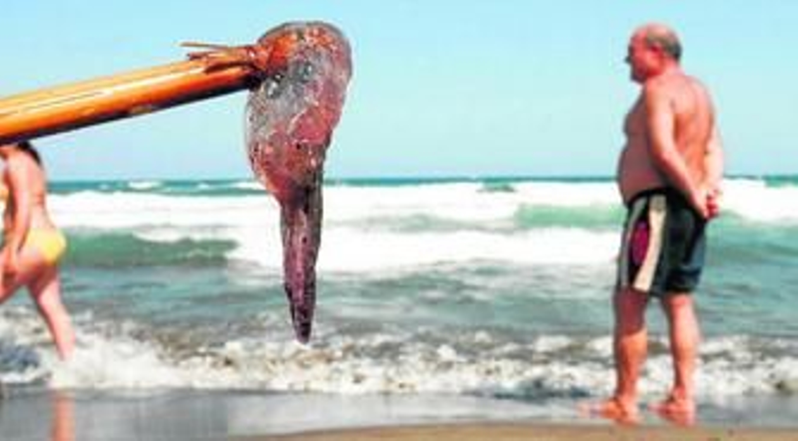 Un bañista sostiene con una caña una de las especies que alcanzó las playas del Cabo de Gata.