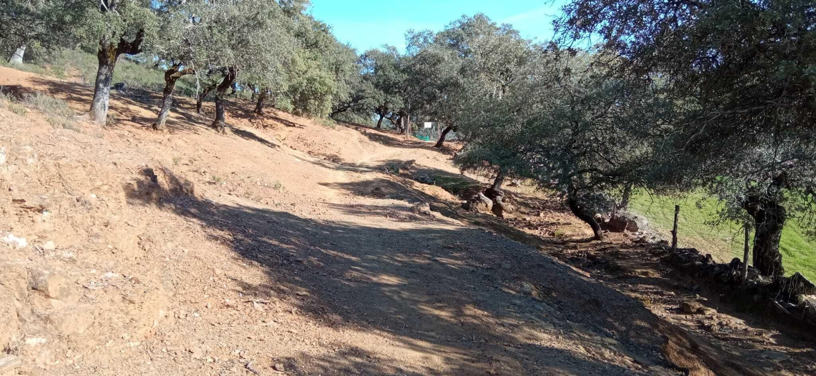 Fotos de la Ruta circular Aracena-Linares de la Sierra-Aracena