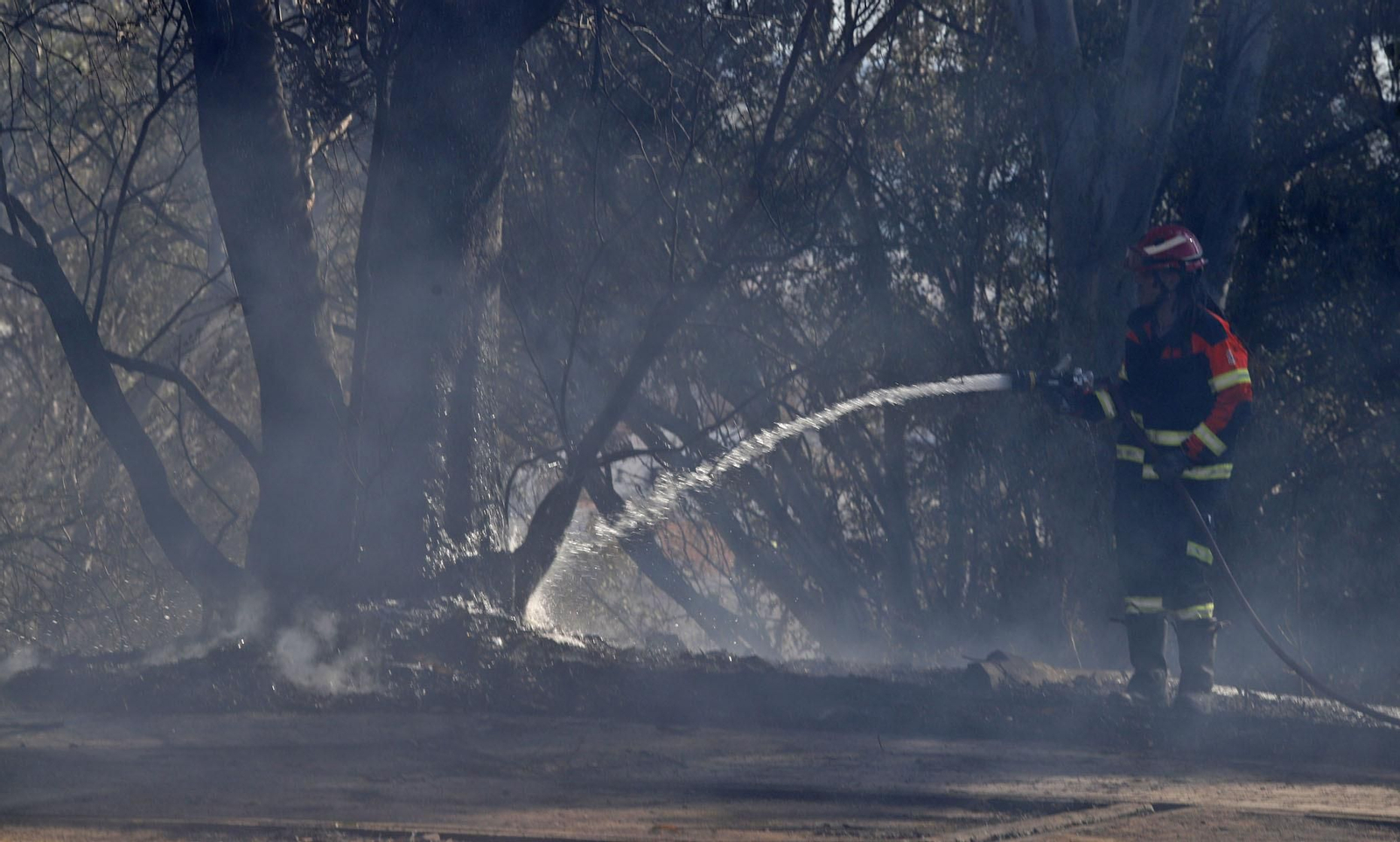 Imágenes del espectacular incendio en las laderas del Conquero