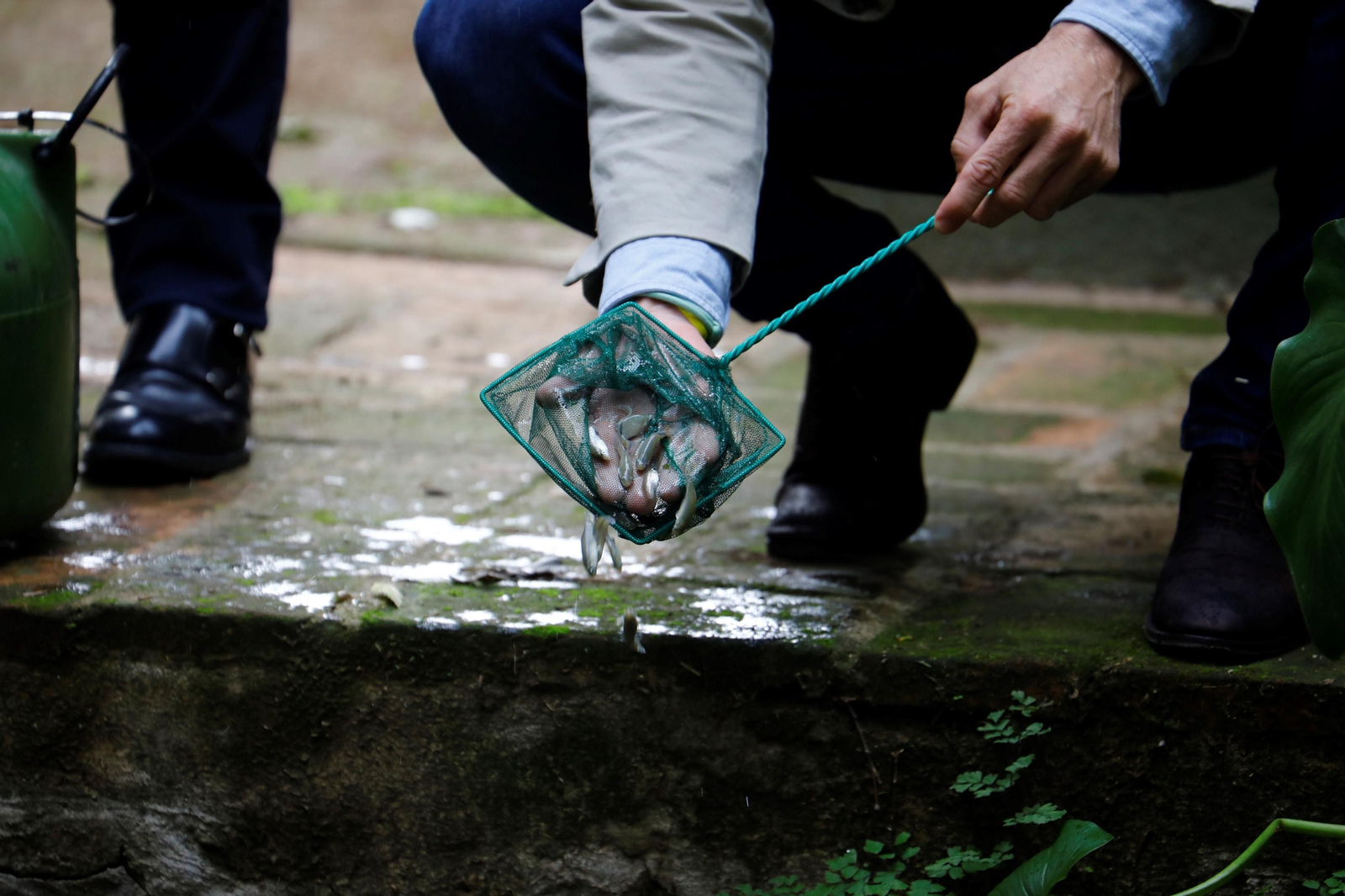 La suelta de salinetes en el zoo de Córdoba, en imágenes La suelta de salinetes en el zoo de Córdoba, en imágenes