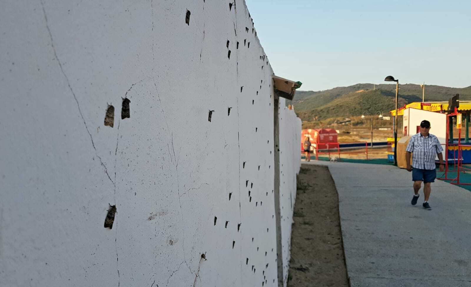 La polilla, en la pared de una casa en Getares.