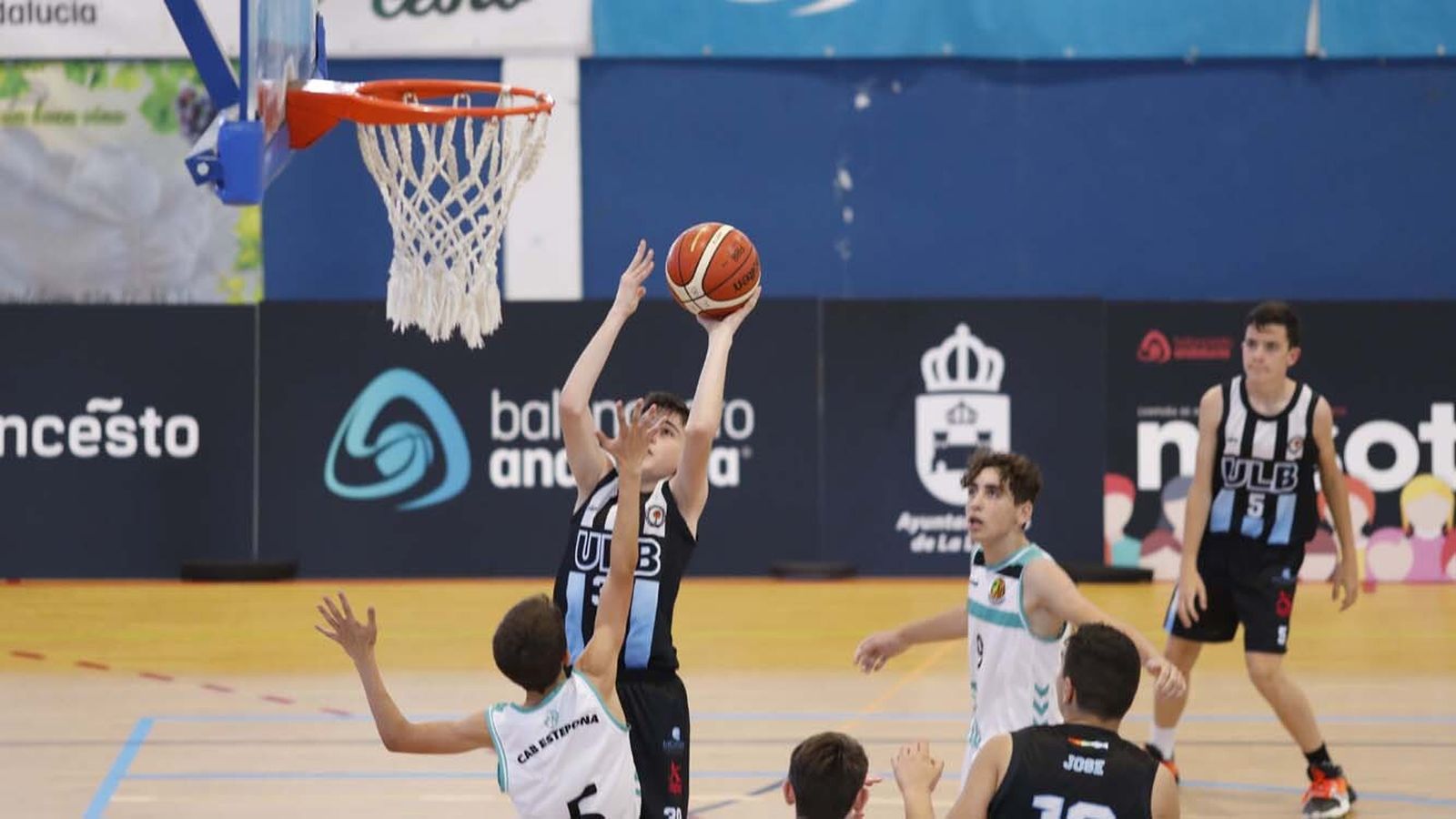 Las fotos ULB - CAE Estepona en los cuartos del Andaluz infantil masculino