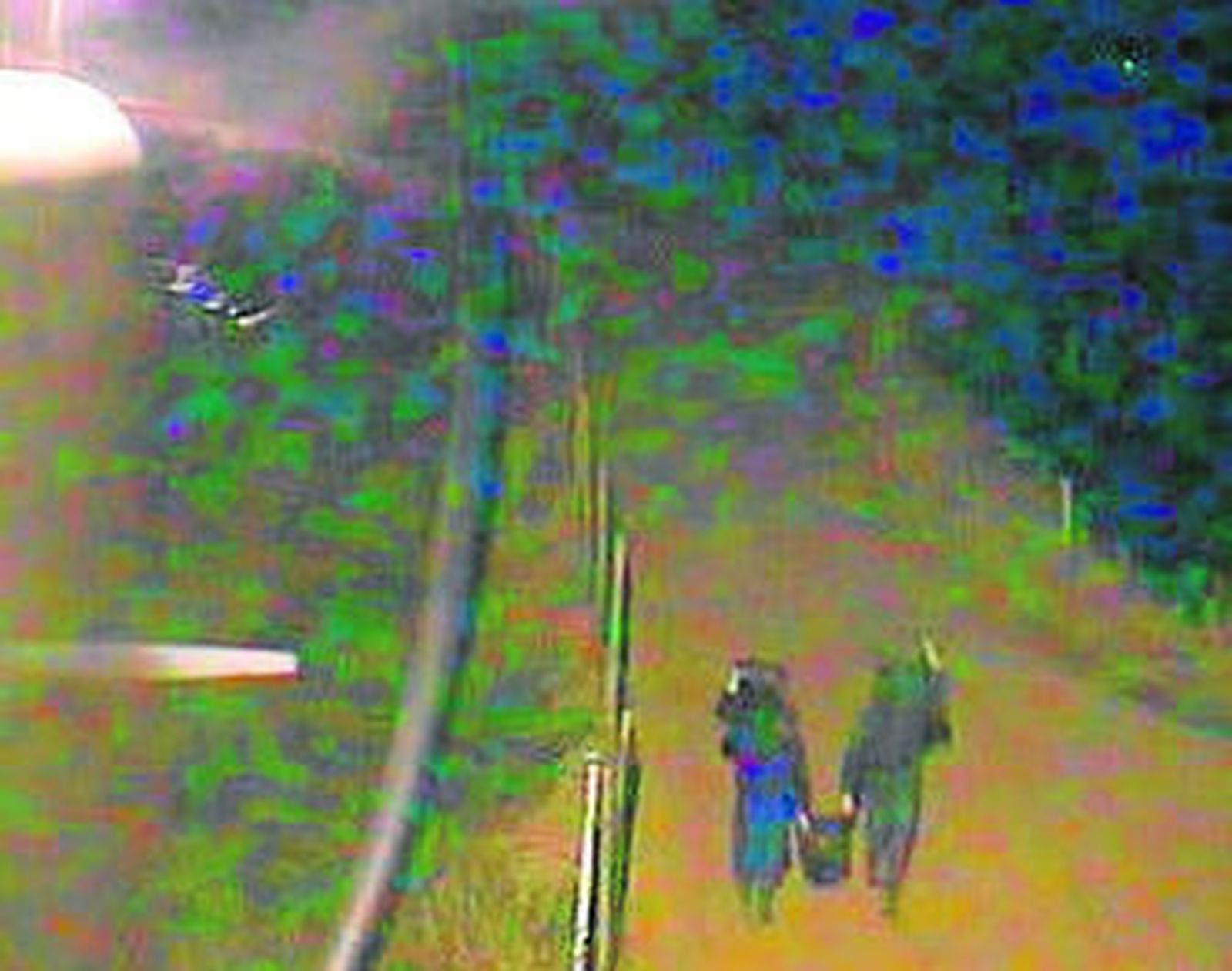 Pescado robado en una granja marina.