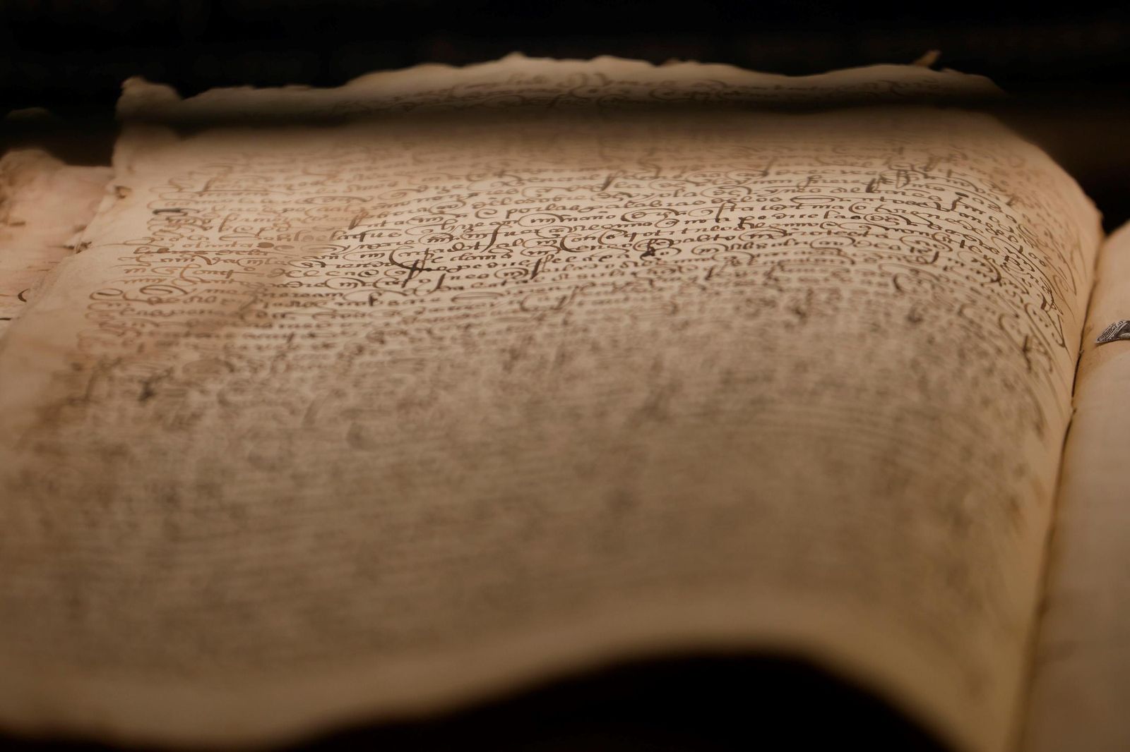 La exposición 'Córdoba en olor de santidad', en imágenes