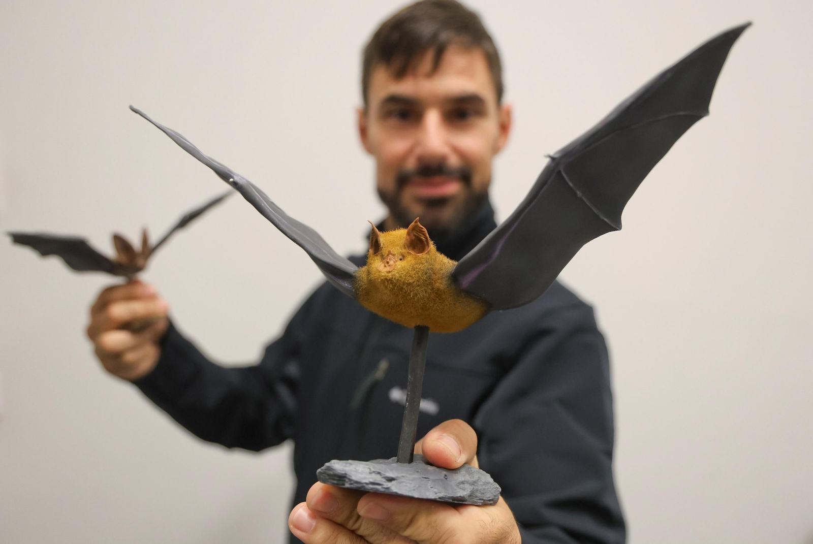 Antonio Moret, fundador de Murciélagos Málaga con maquetas de varias especies