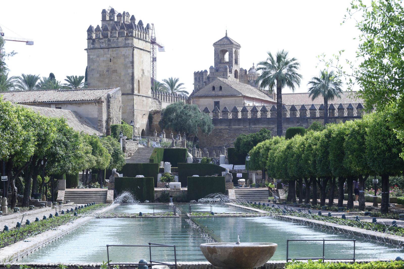 Las fotografías de la reapertura al público del Alcázar