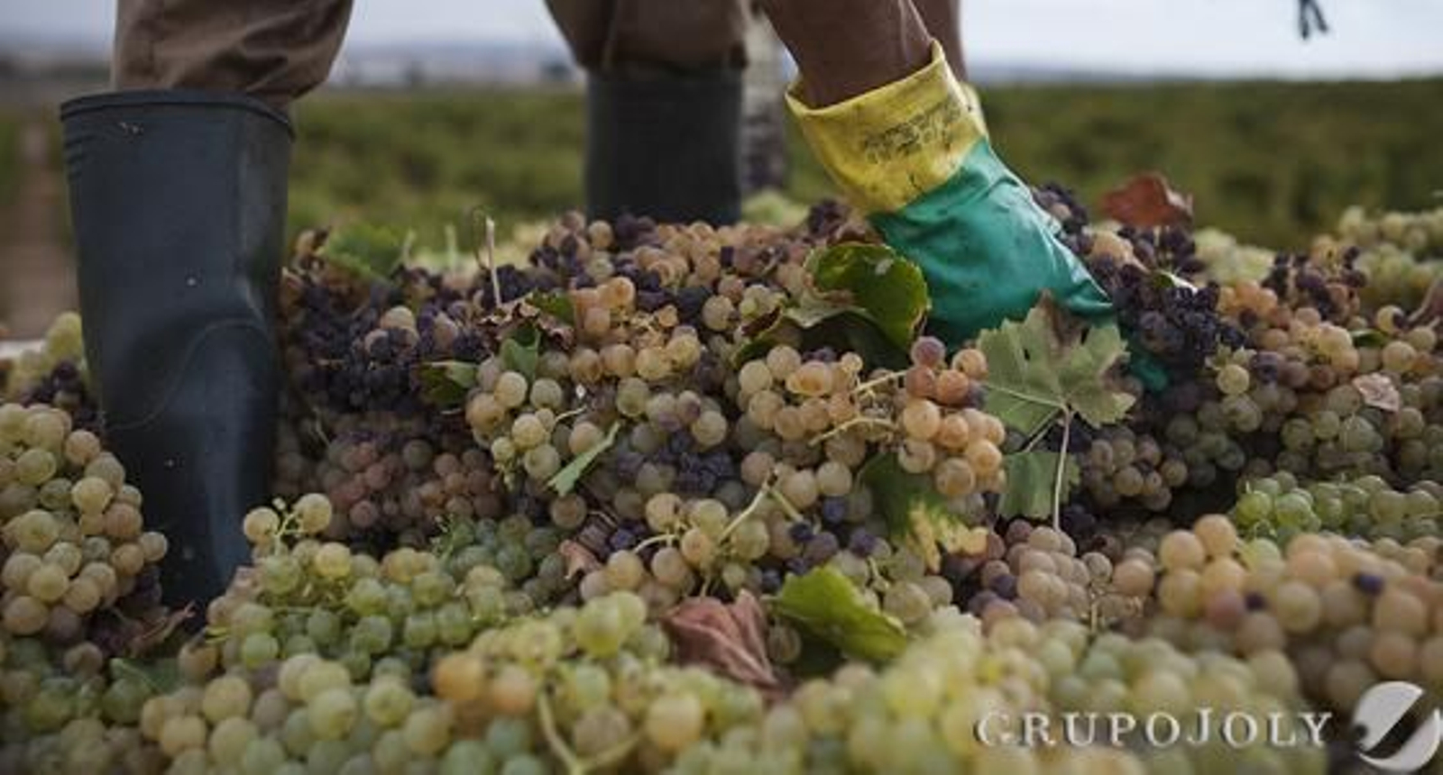 Foto: Antonio Pizarro