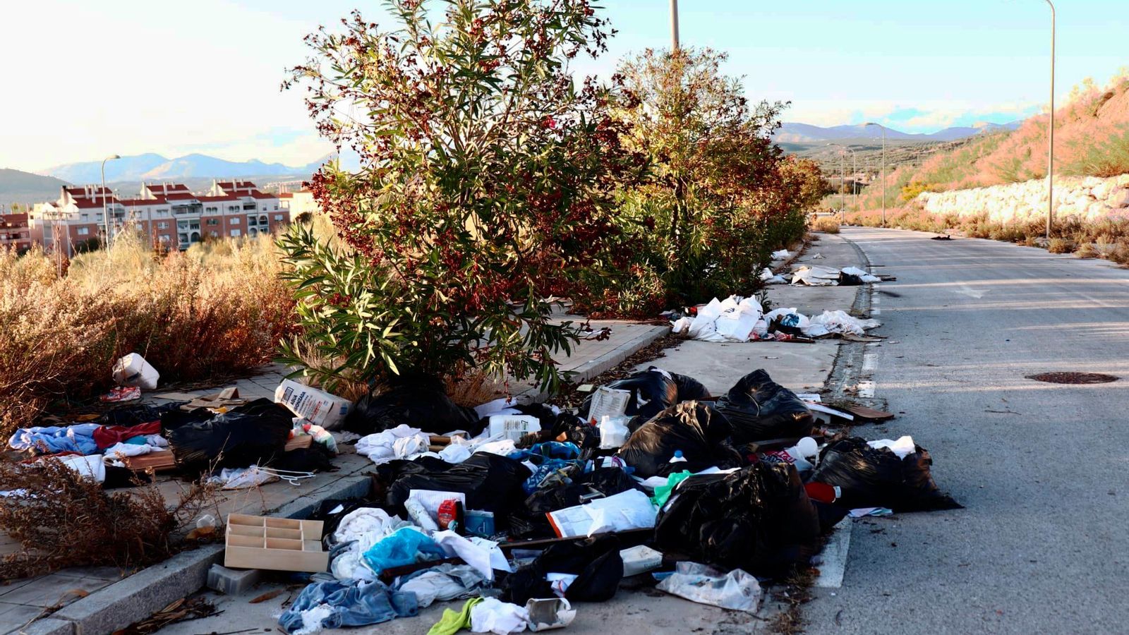Caminos antigua Azulejera sobre Parque Nueva Granada