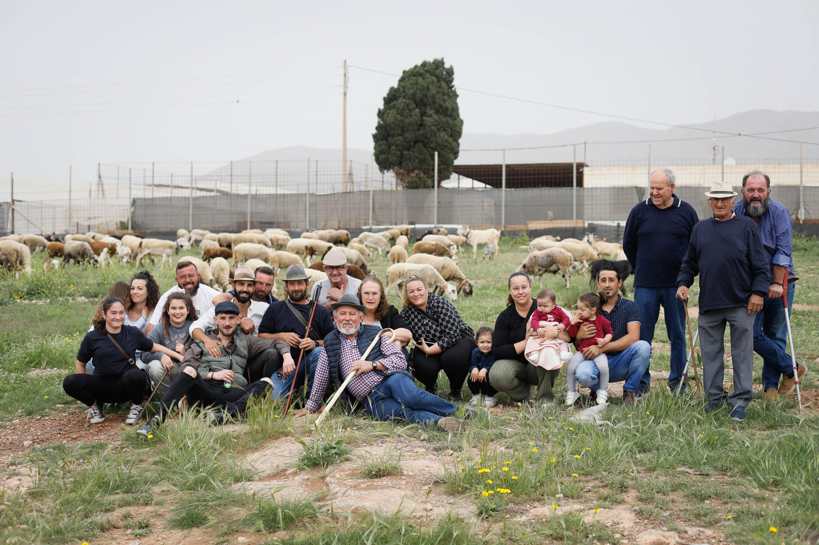 Galería de la Feria  de ganado en Tarambana