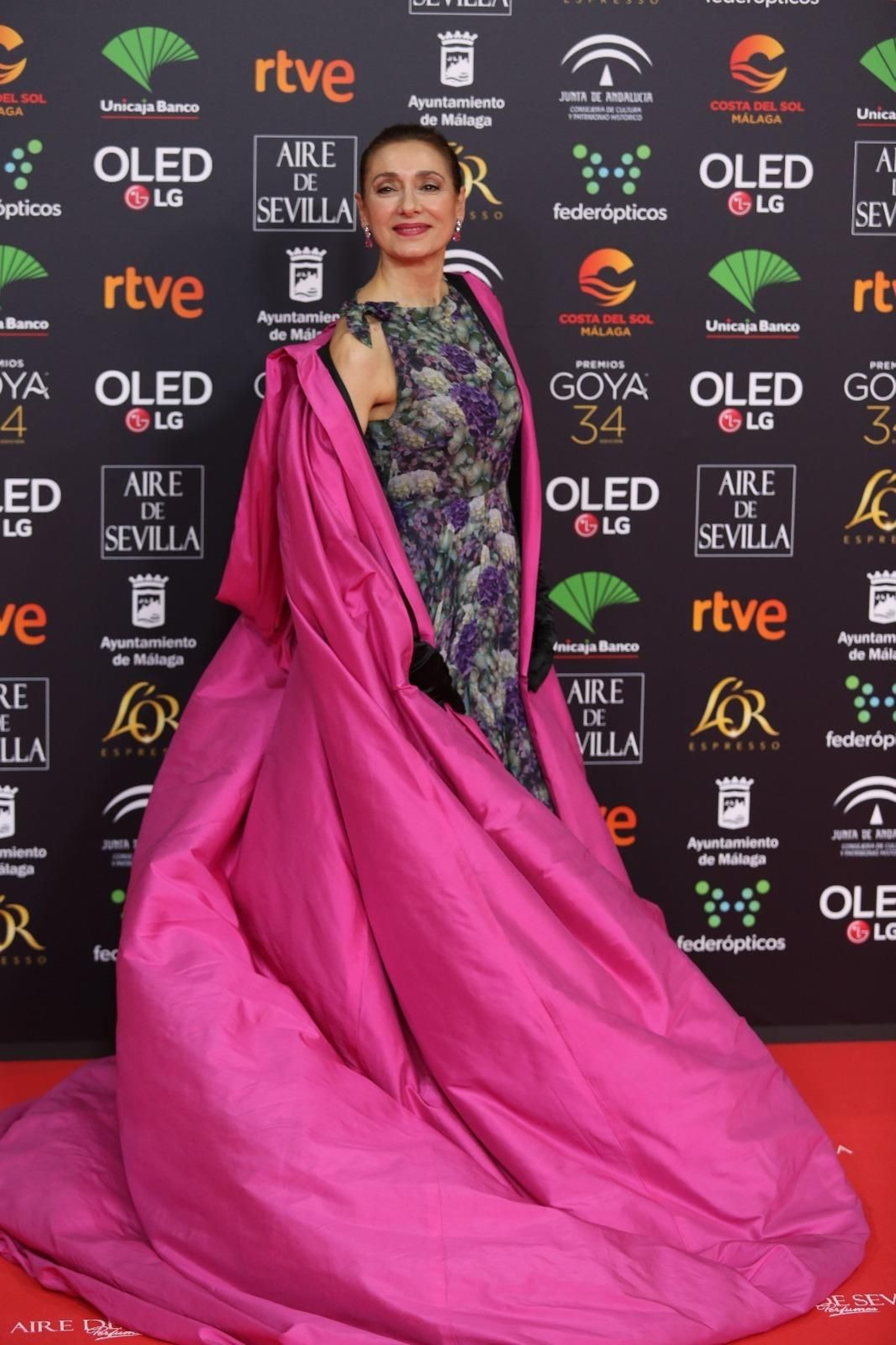 La alfombra roja de los Goya 2020 en Málaga