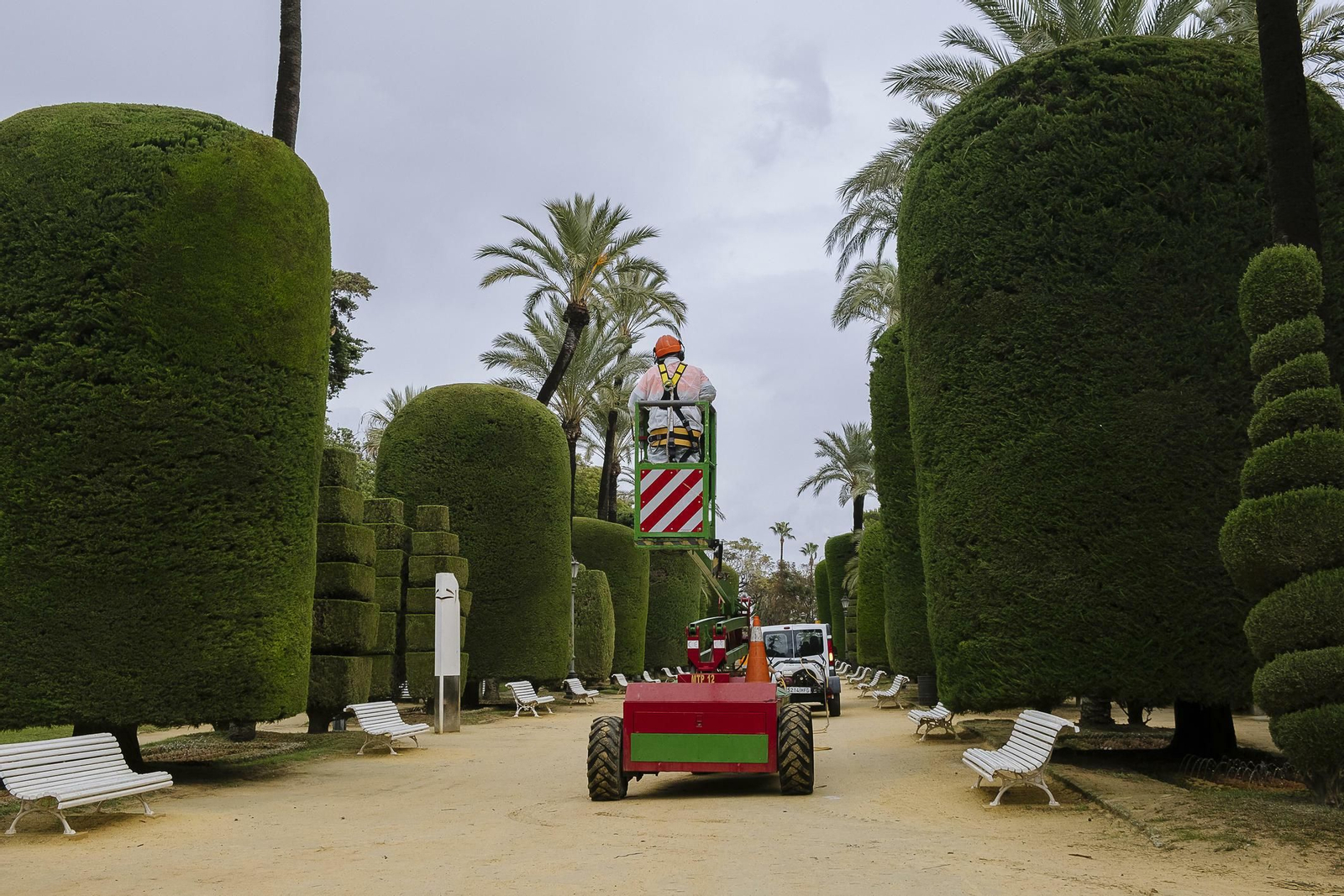 El estado de la Alameda y el Parque Genovés