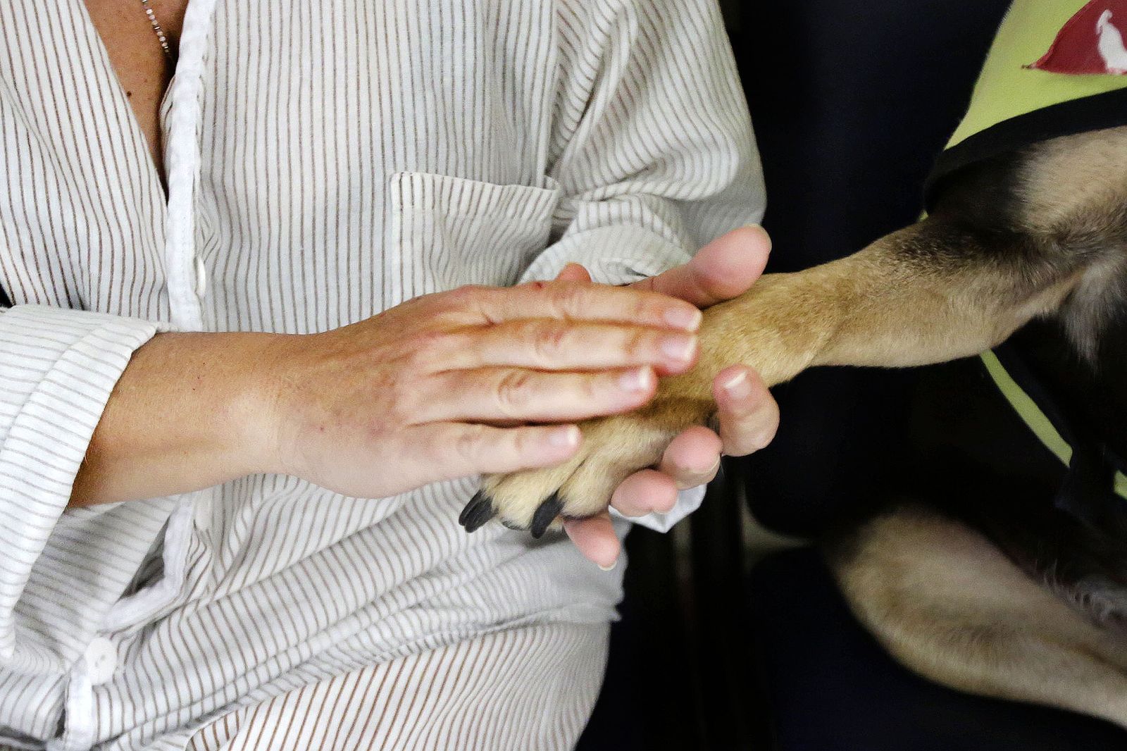 Unidad psiquiátrica del Clinico de Puerto Real