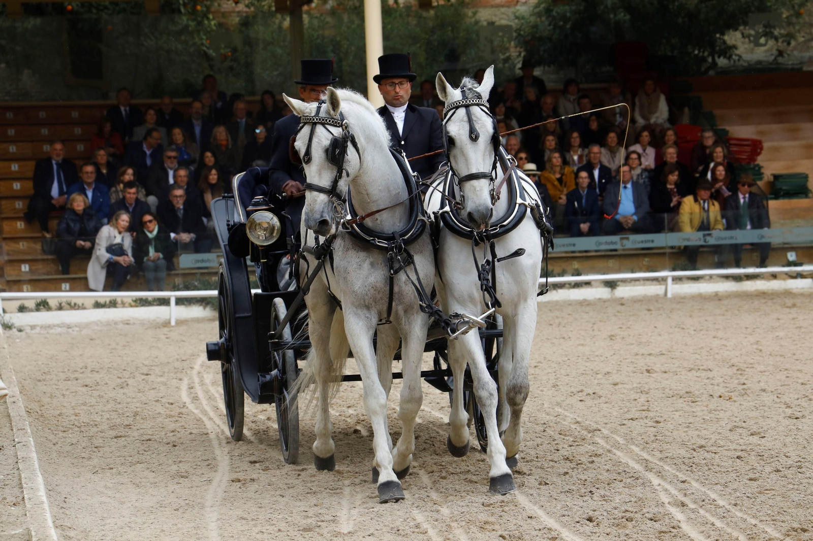 La exhibición de enganches en Caballerizas Reales de Córdoba, en imágenes