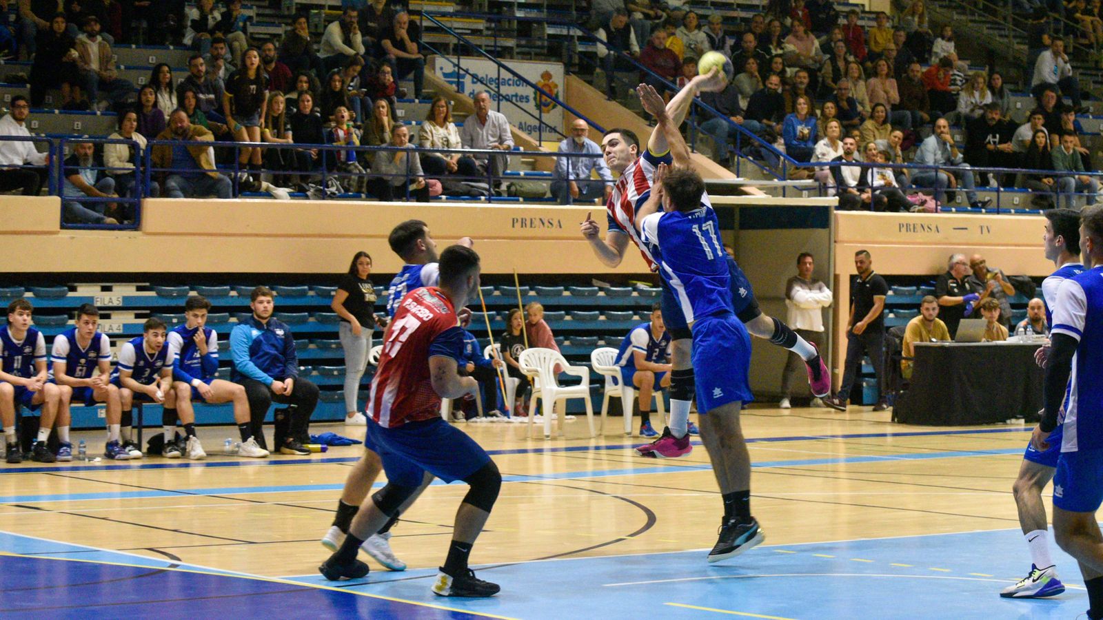 BM Ciudad de Algeciras - Palma del Río