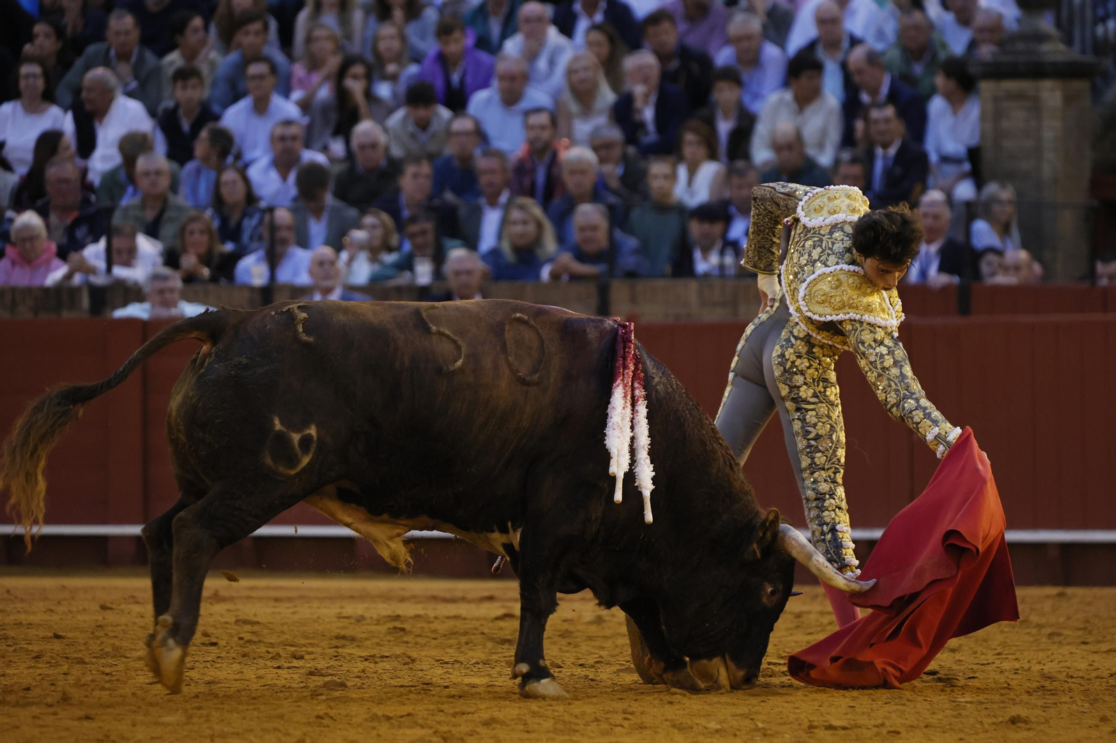 Las imágenes del festejo