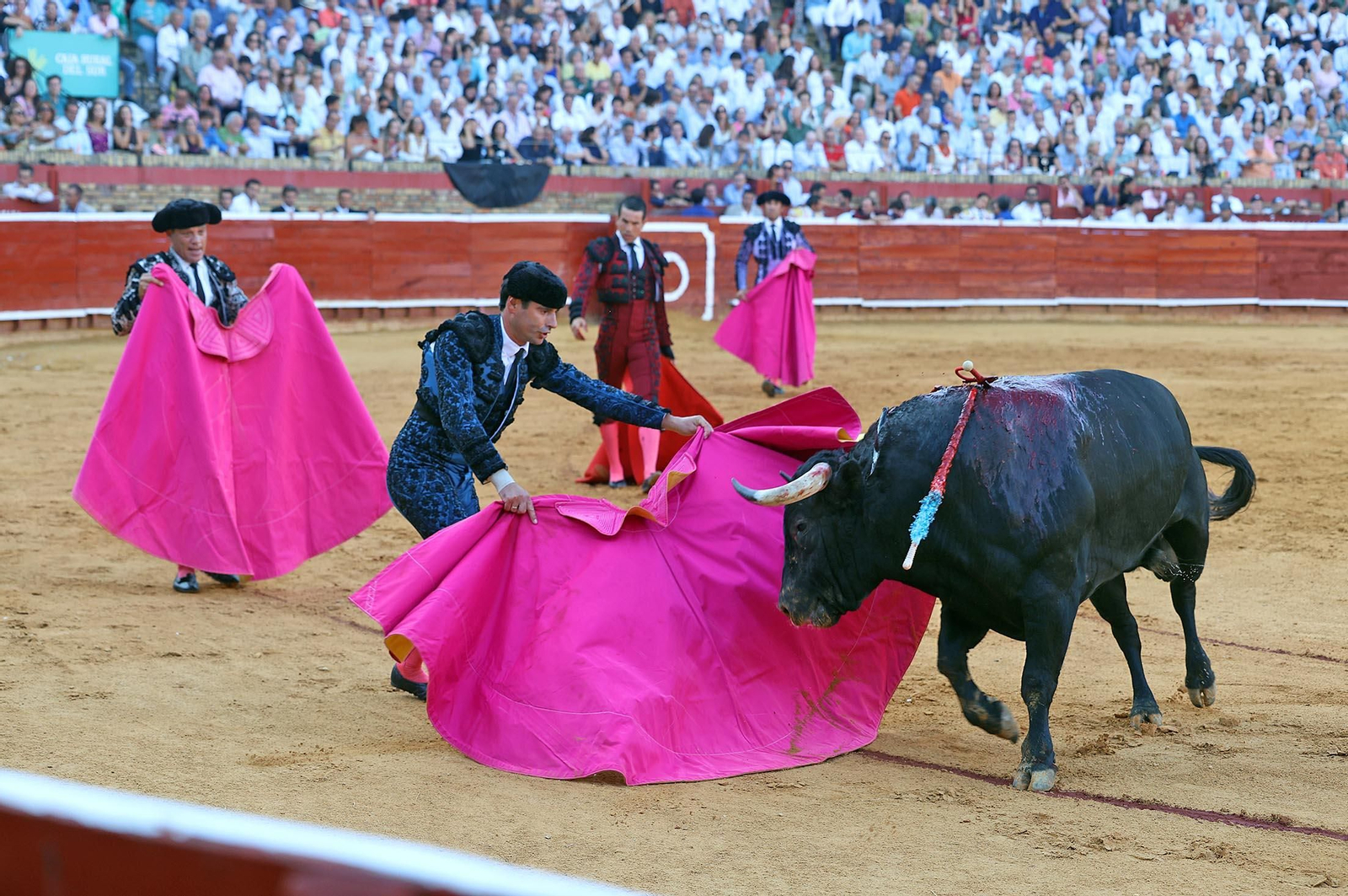 Toros La Merced: Imágenes de la corrida de David de Miranda, Roca Rey y Manzanare