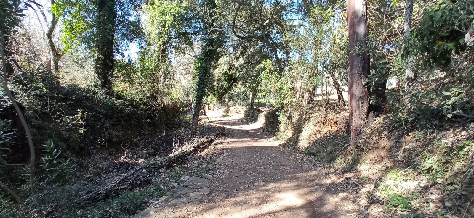Las imágenes de la ruta de la cascada de Jollarancos y bosque de las letras