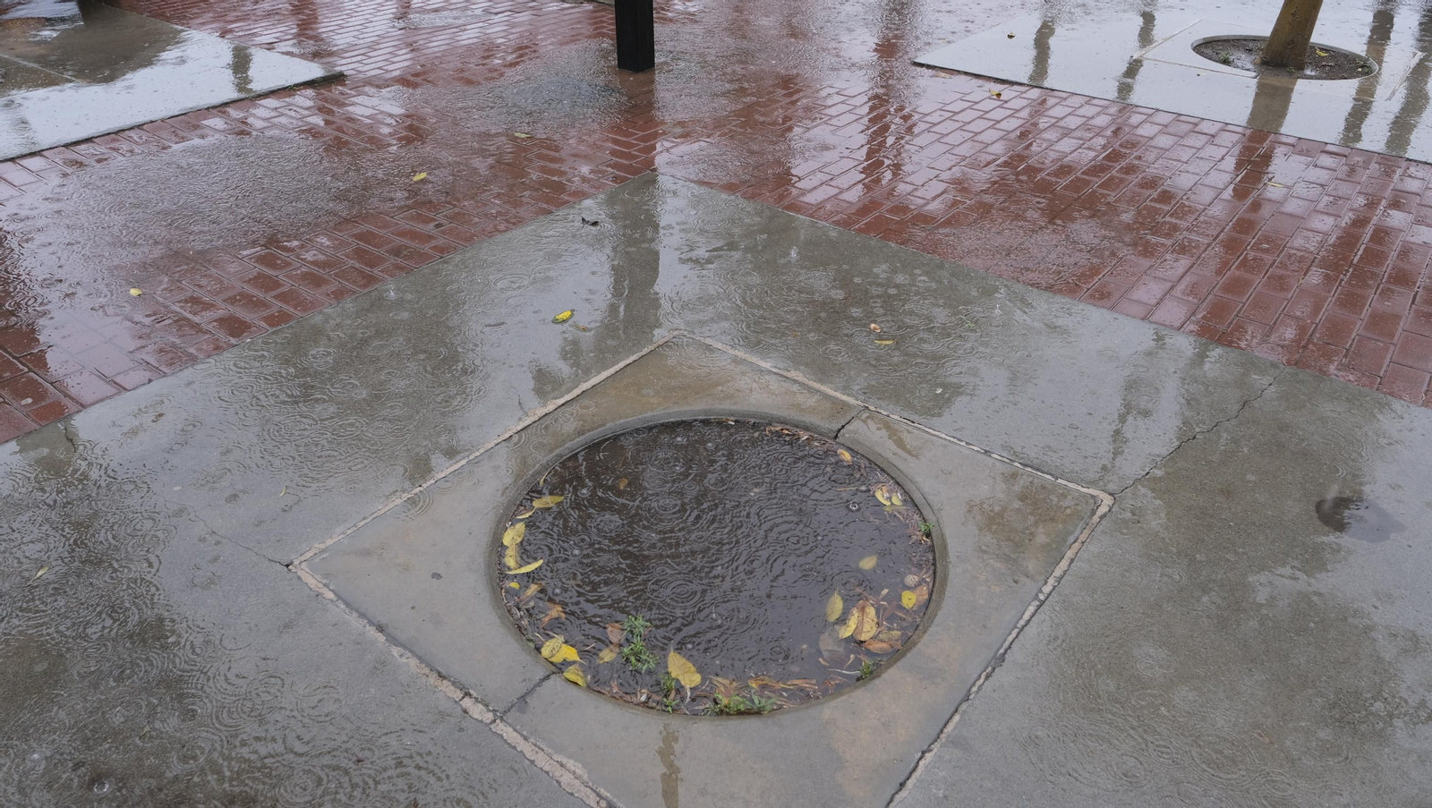 Los almerienses expresan su alegría por la lluvia