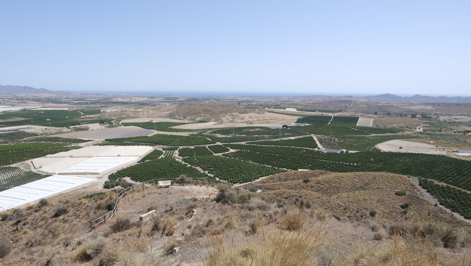 Imágenes de la Romería de la Virgen de la Cabeza de Antas