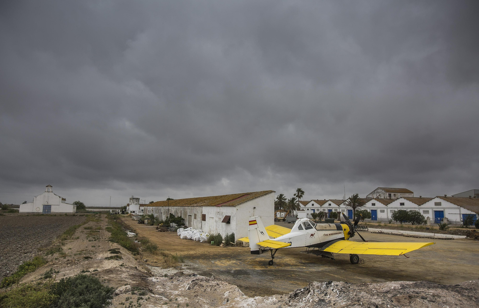 Marismas del Guadalquivir, un paisaje de cine