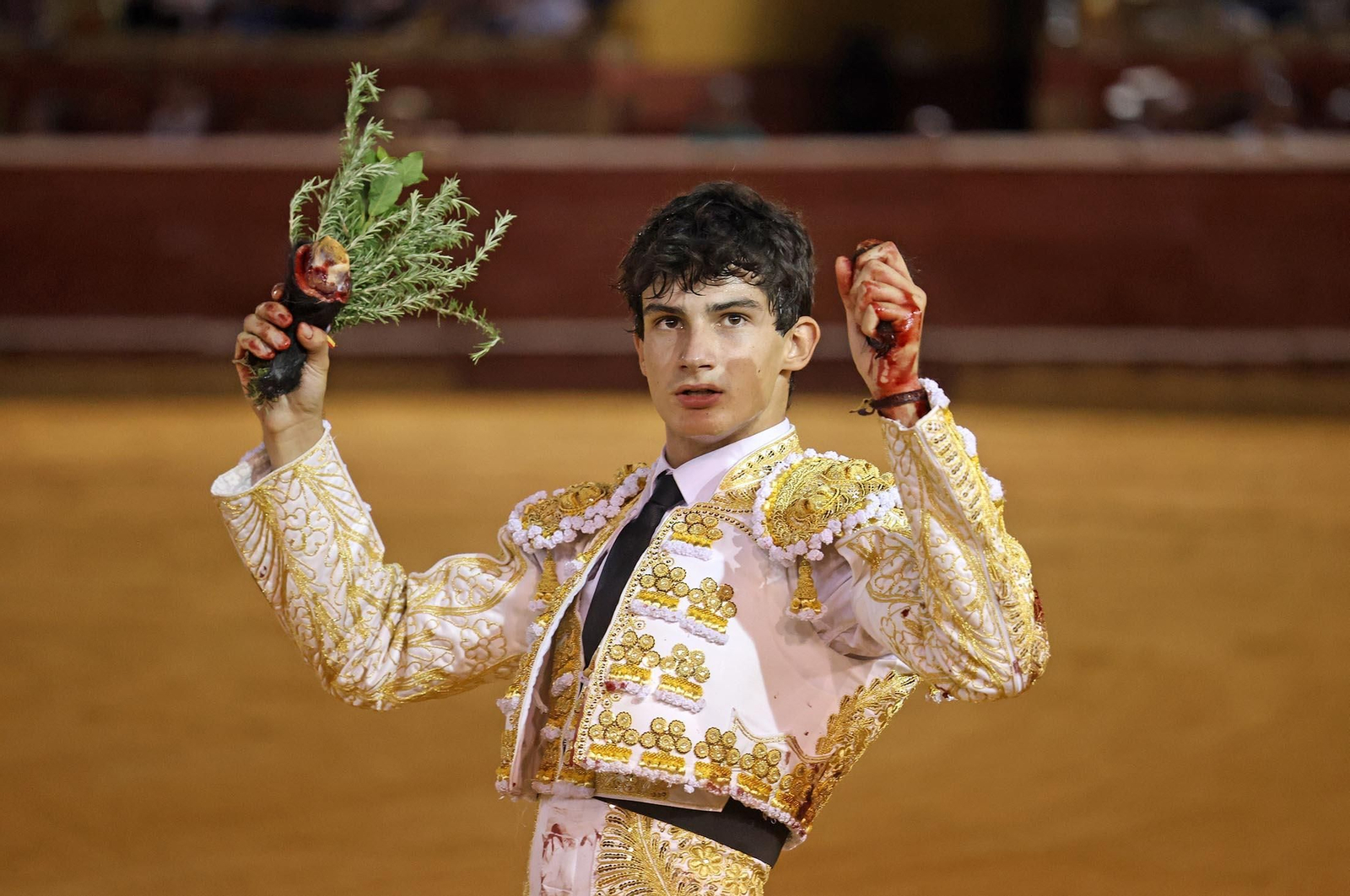 Toros La Merced 2025: Imágenes de la Novillada de Javier Zulueta, Cristian González y Carlos Tirado