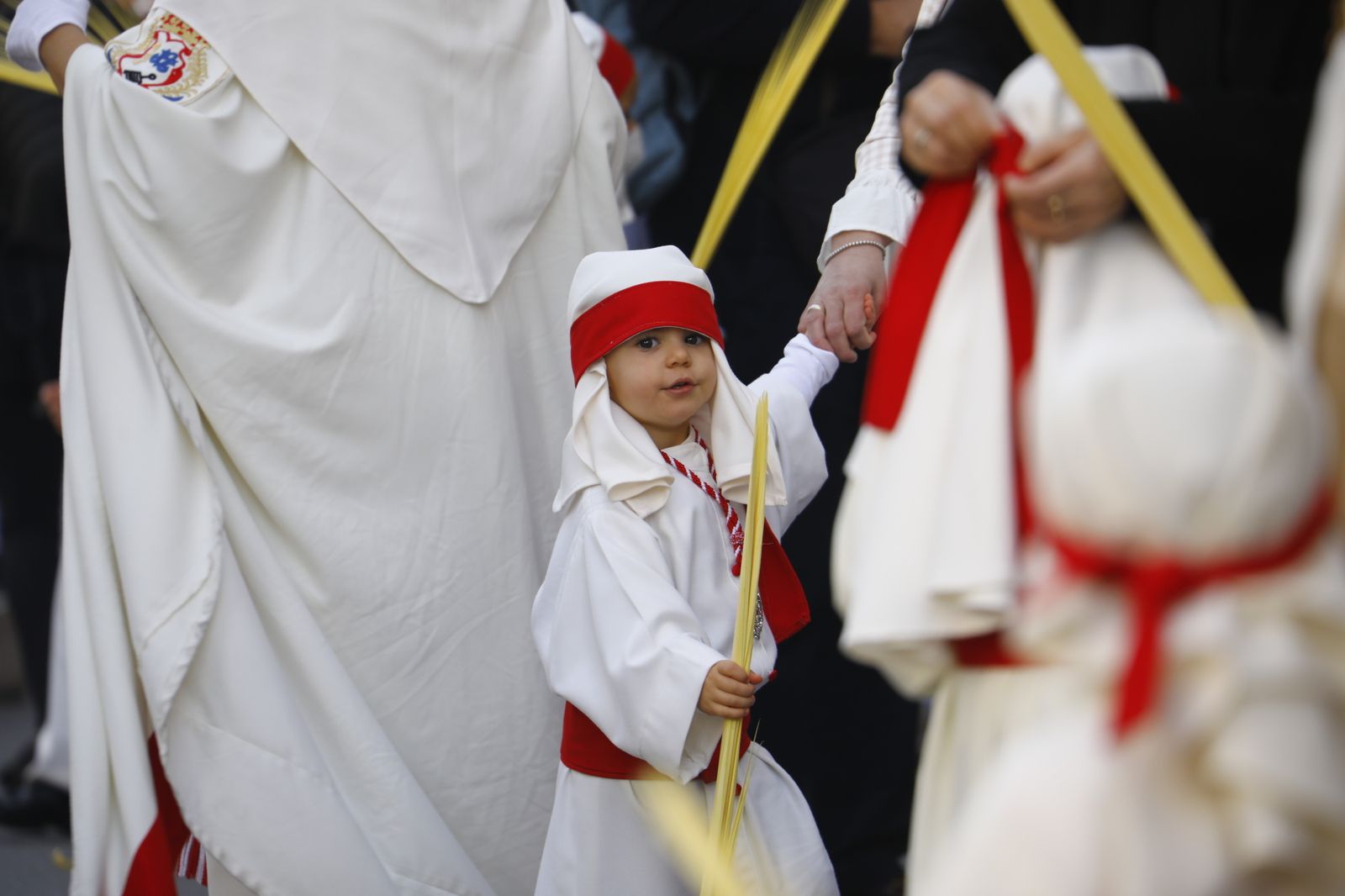 La procesión de la Entrada Triunfal del Domingo de Ramos en Córdoba, en imágenes