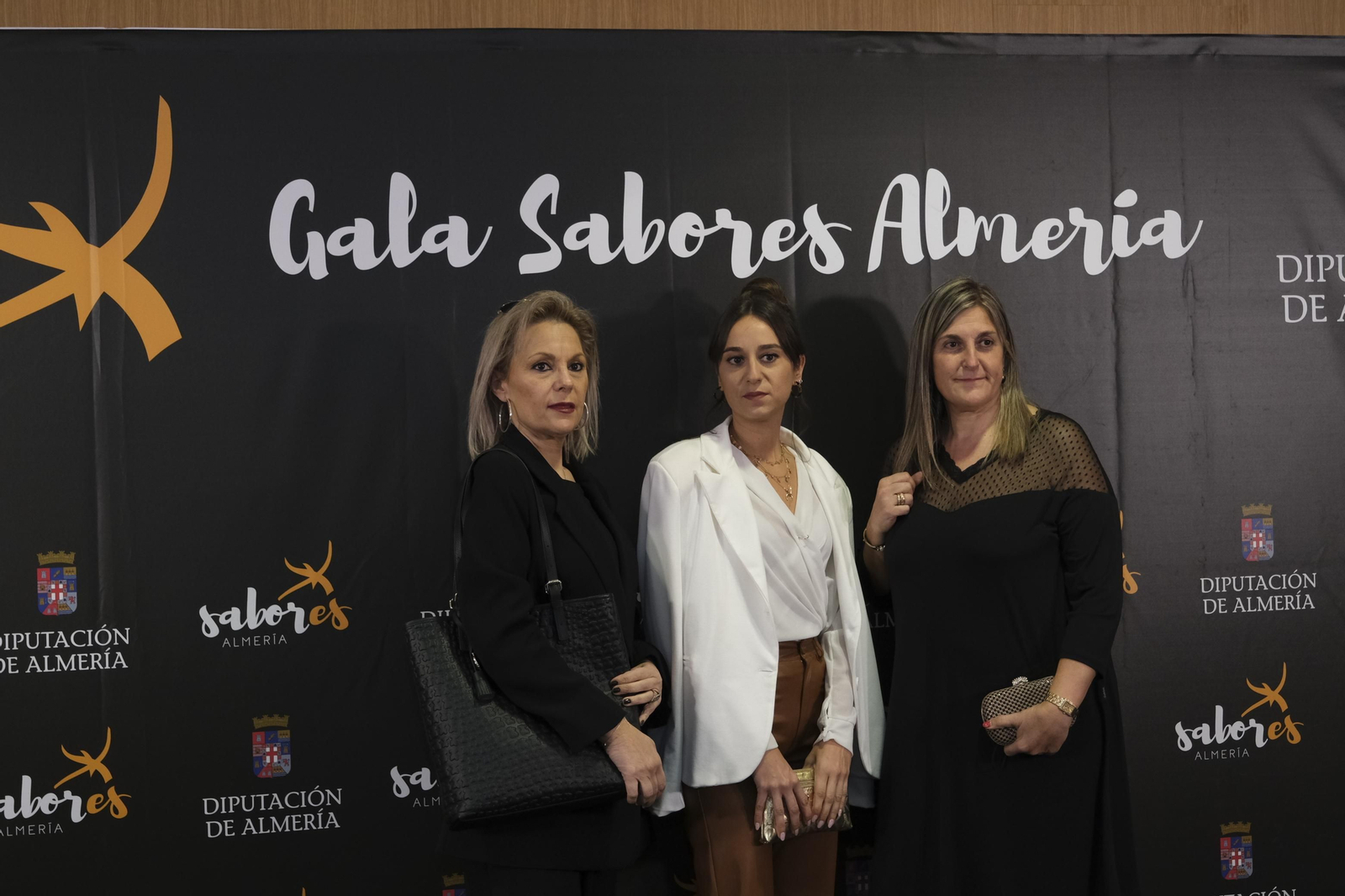 Imágenes de la II Gala Sabores Almería con David Bisbal. Vera