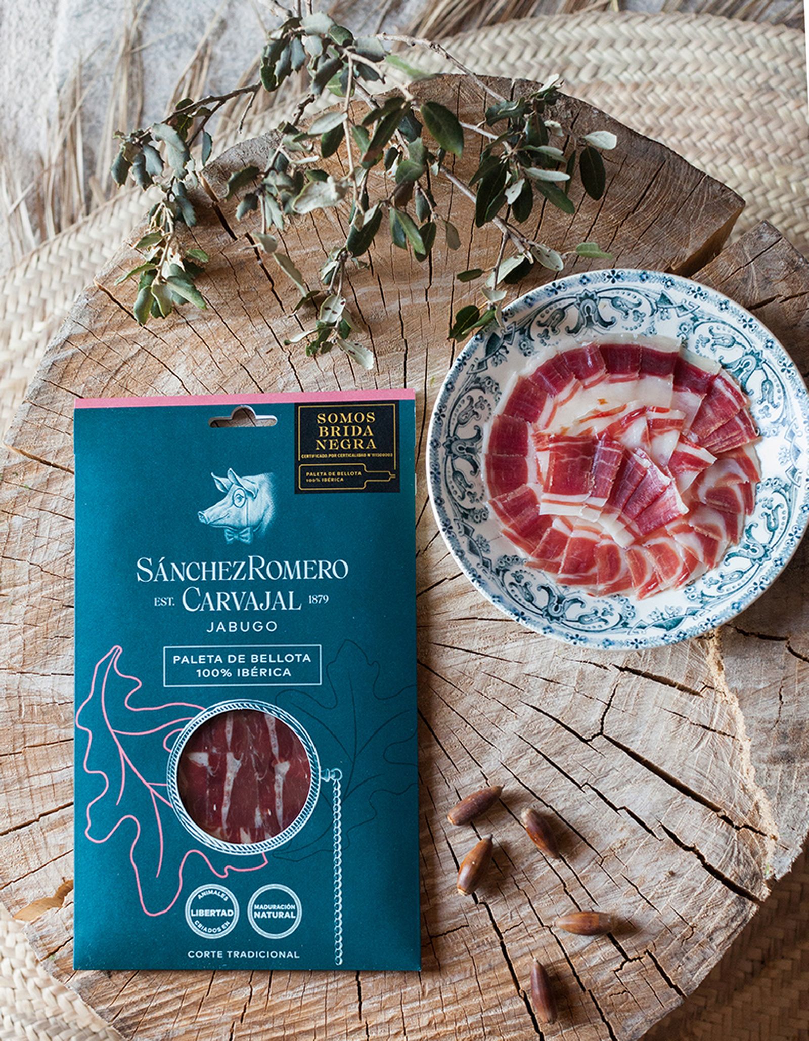 Loncheados Paleta Sánchez Romero Carvajal