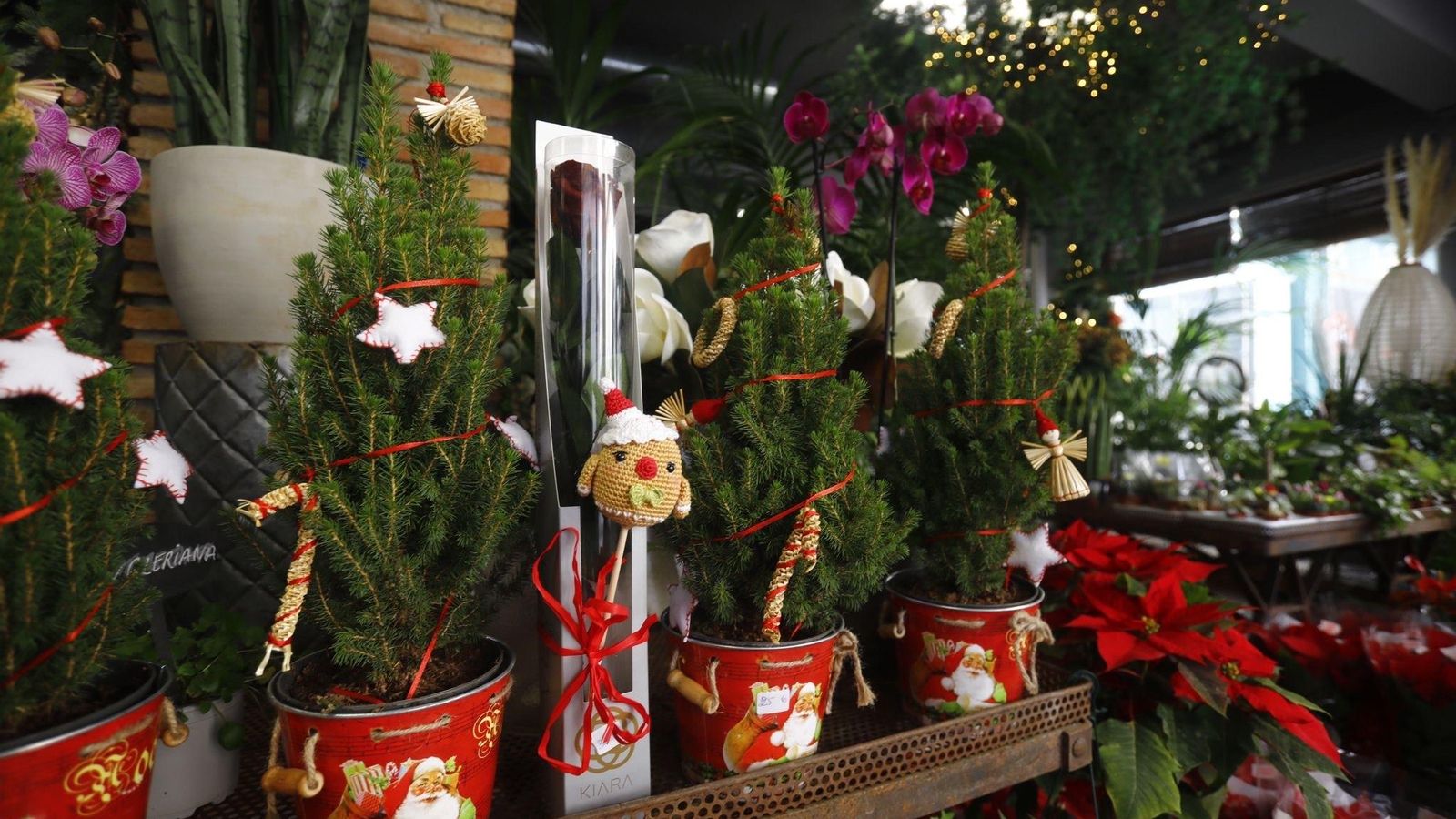 Floristería Santa Marta Floristería Santa Marta