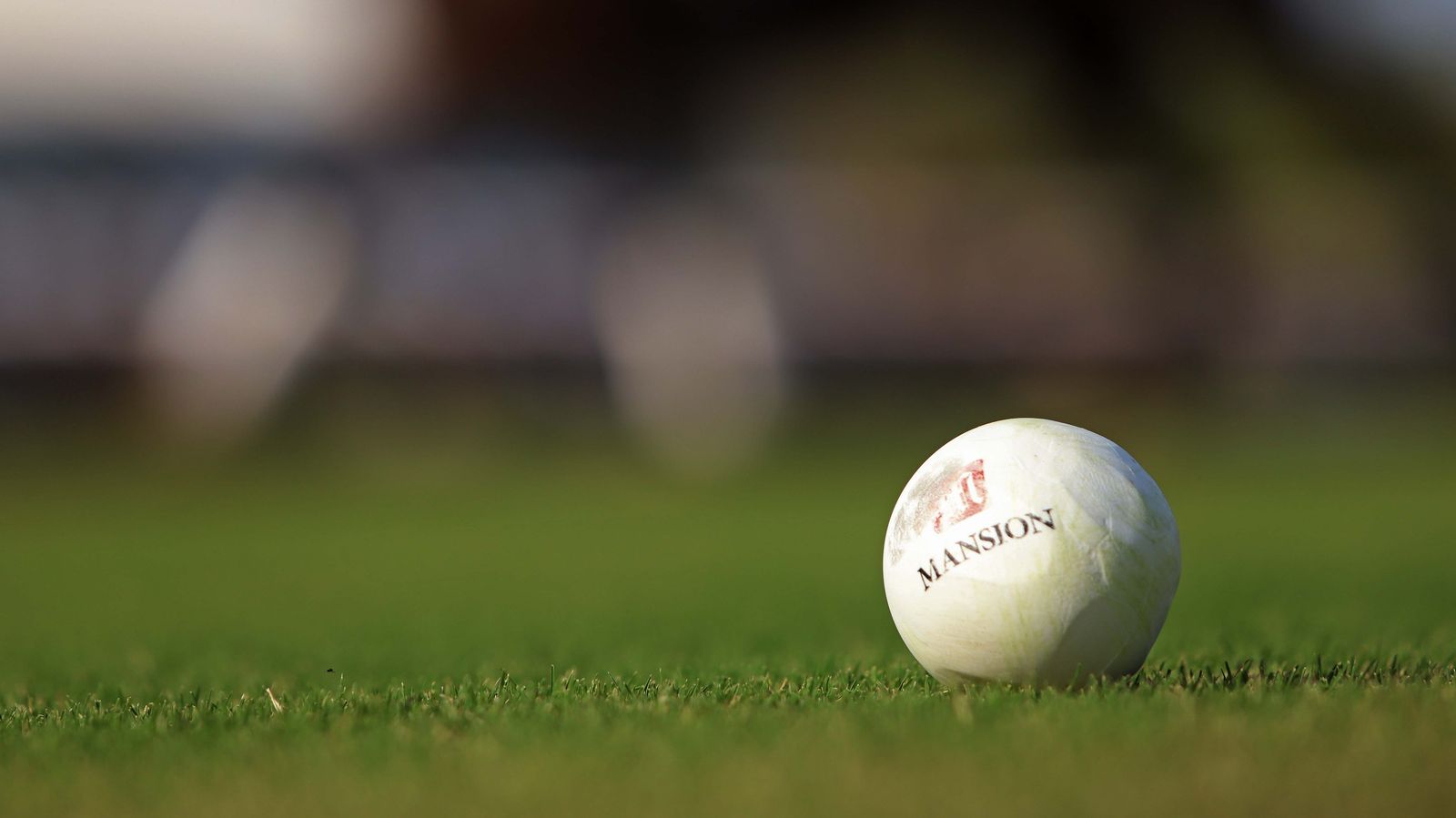 El polo desde dentro