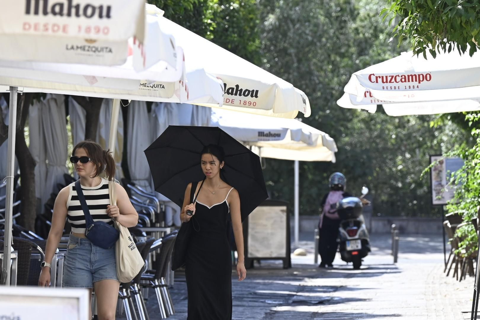 Un día de agosto en la Ribera de Córdoba, en imágenes