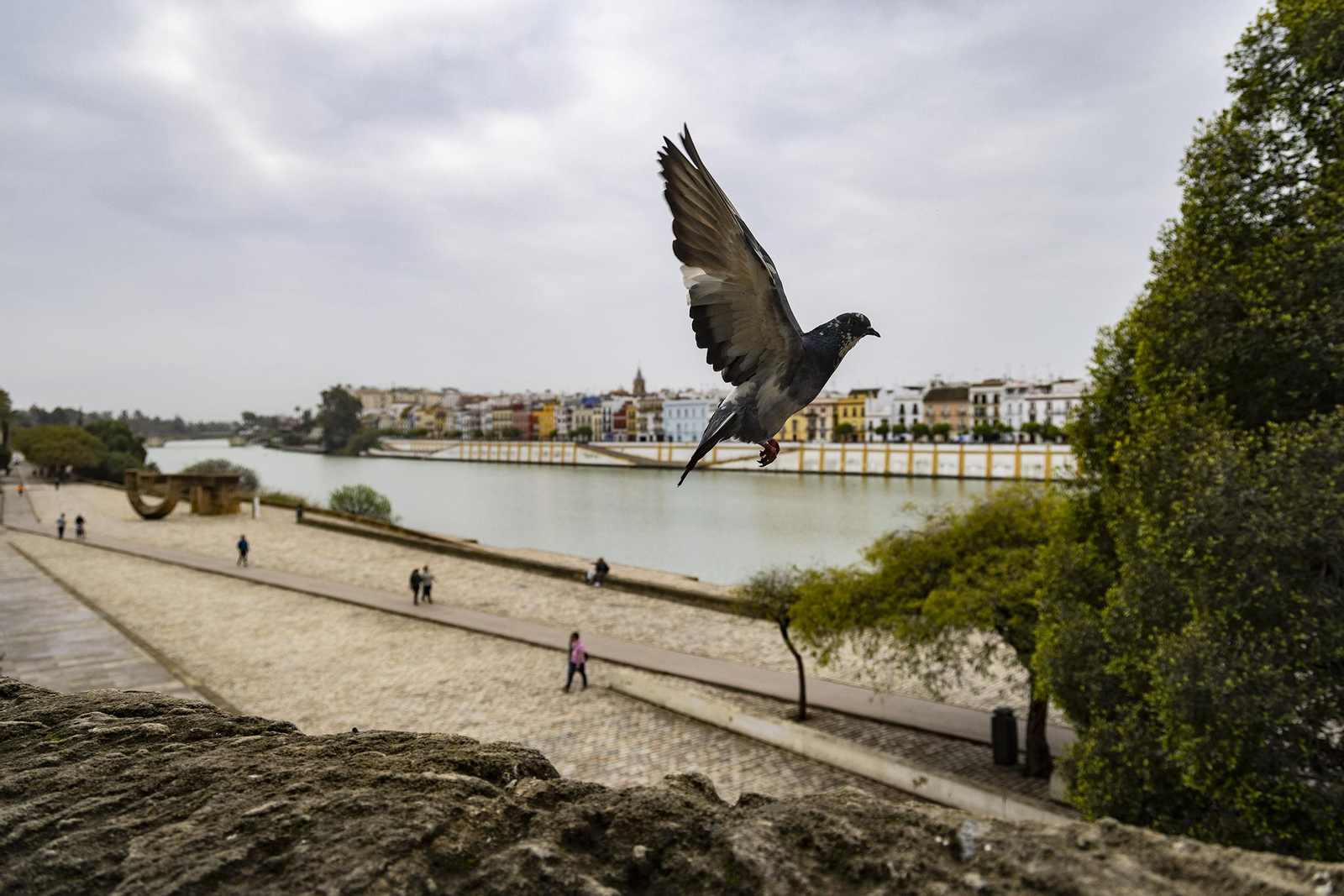 El cielo nuboso cubre estos días la ciudad.