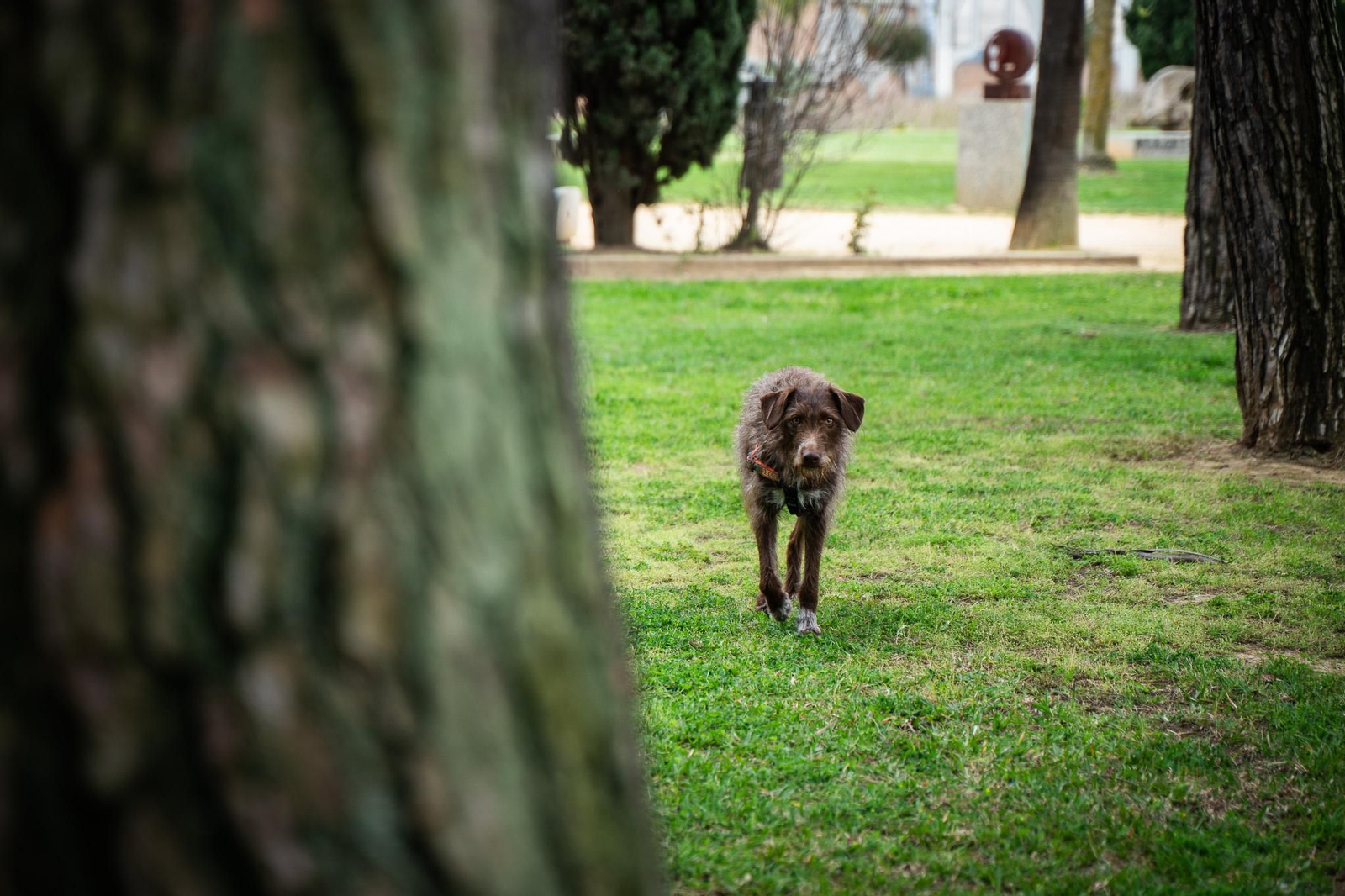 Las imágenes más destacadas del miércoles 2 de abril en Huelva
