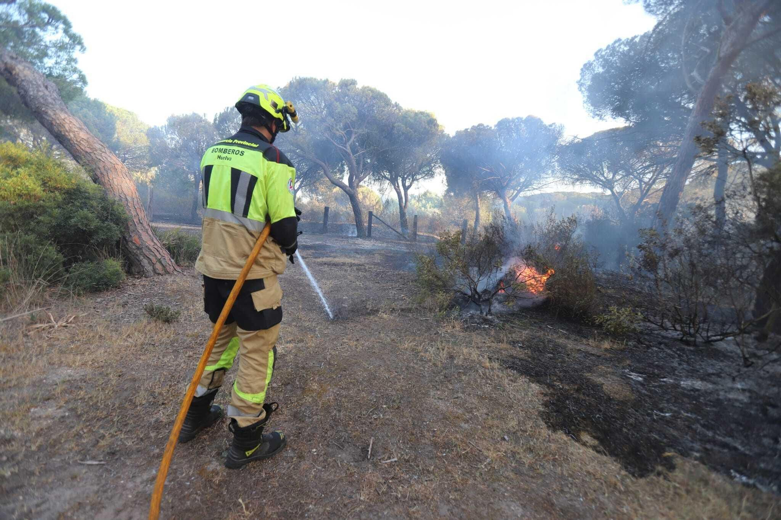 Fuego en la laguna de El Portil: las imágenes del incendio