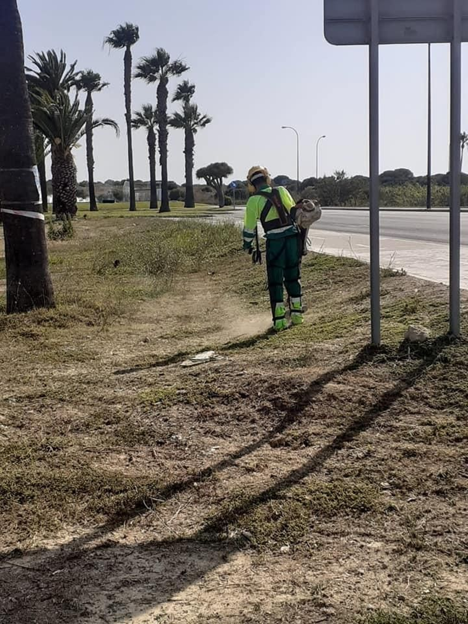 Tareas de fumigación entre La Almadraba y la playa de Camposoto.
