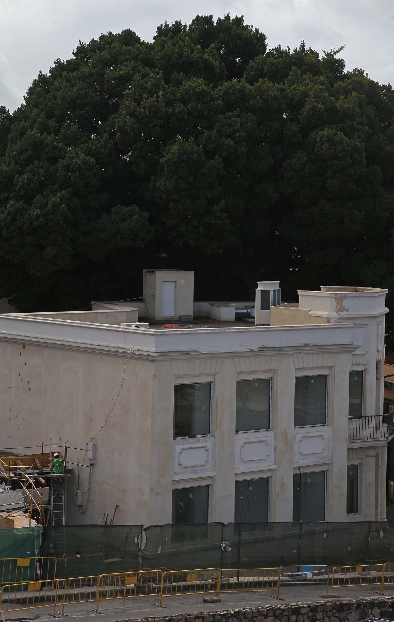 Fotos de las obras en el centro de interpretación 'Paco de Lucía' y en la fábrica de salazón de Algeciras