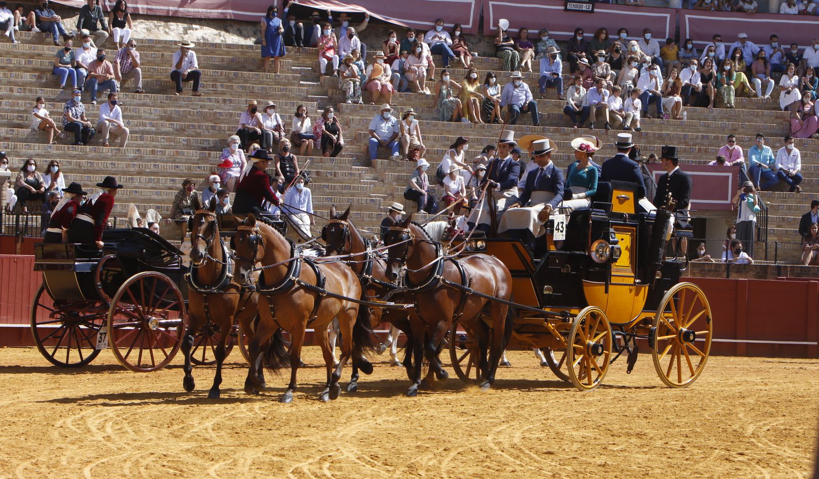 Exhibición de Enganches