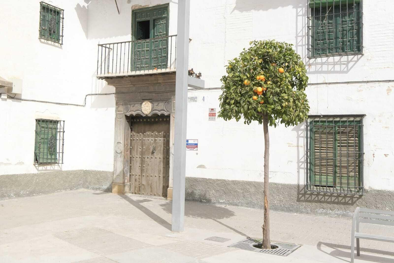 Vivienda donde se ha encontrado el artefacto