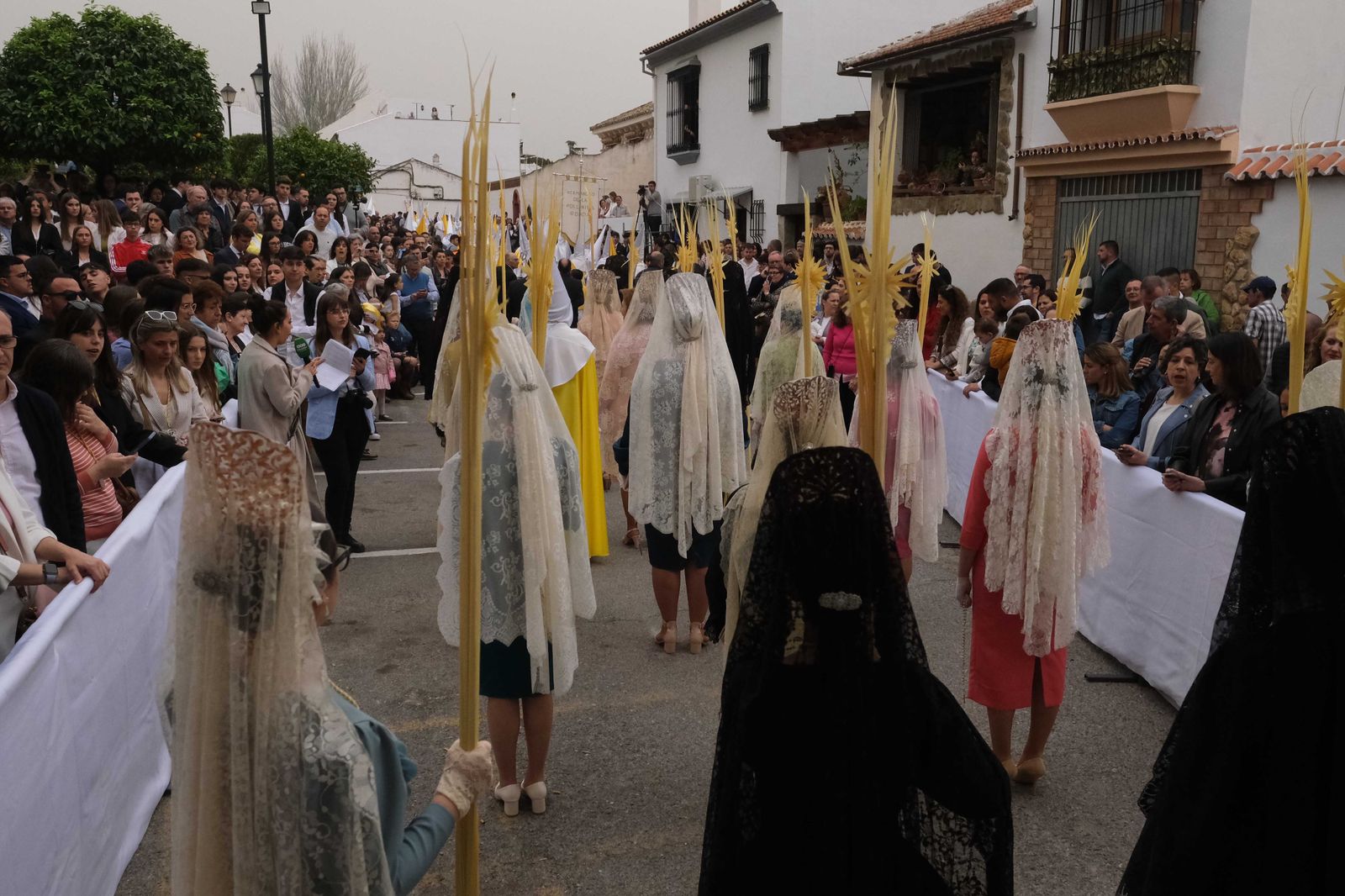Salida de la Pollinica de Ronda, en fotos.