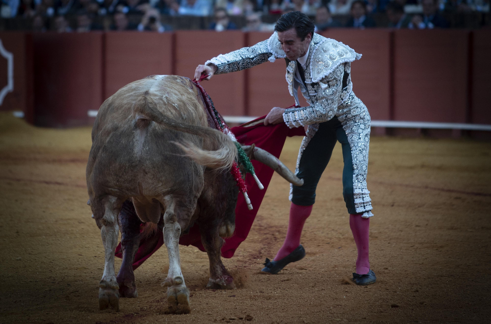 Las mejores imágenes del duodécimo festejo de toros